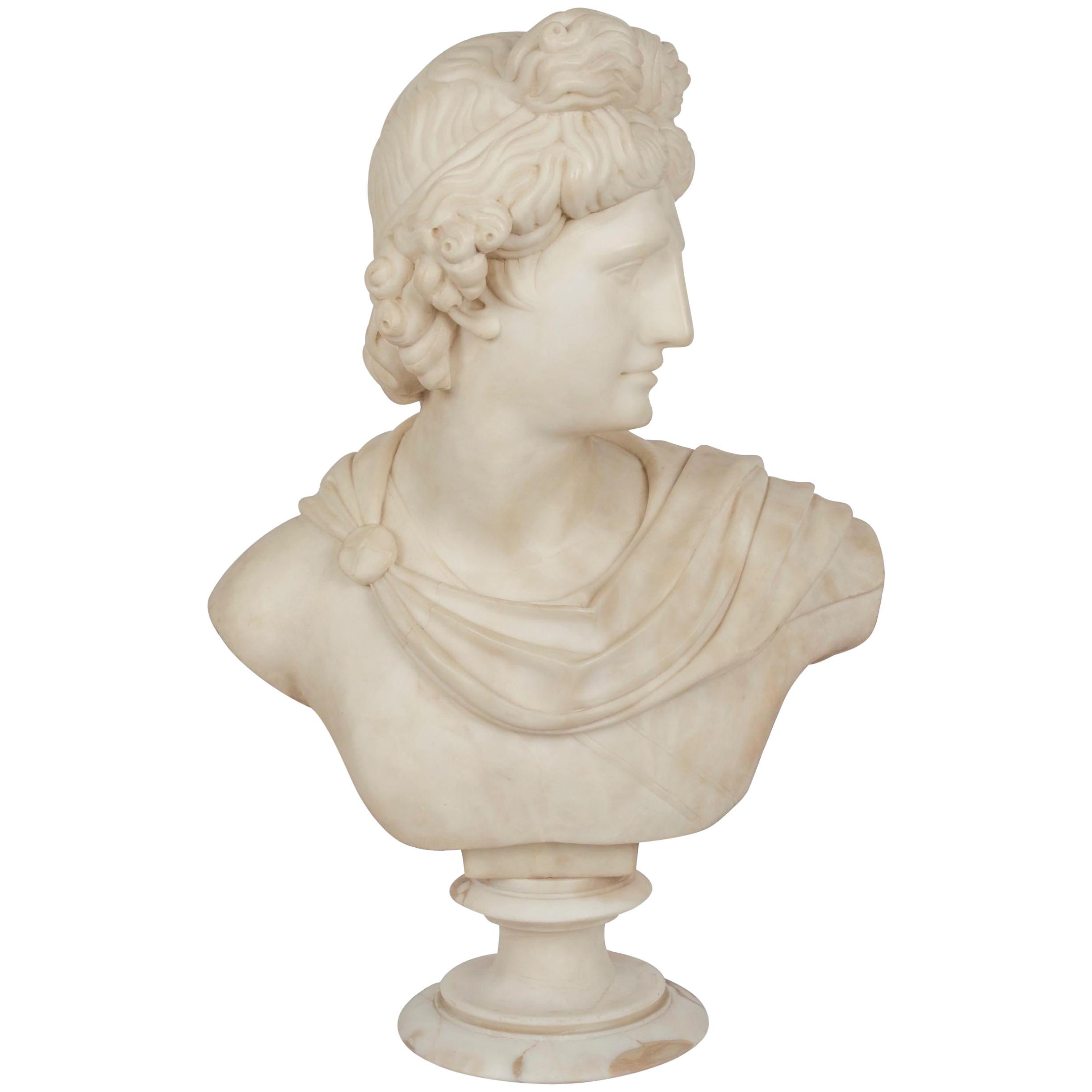 Grand Tour Alabaster Sculpture Bust of Apollo Belvedere, 19th Century