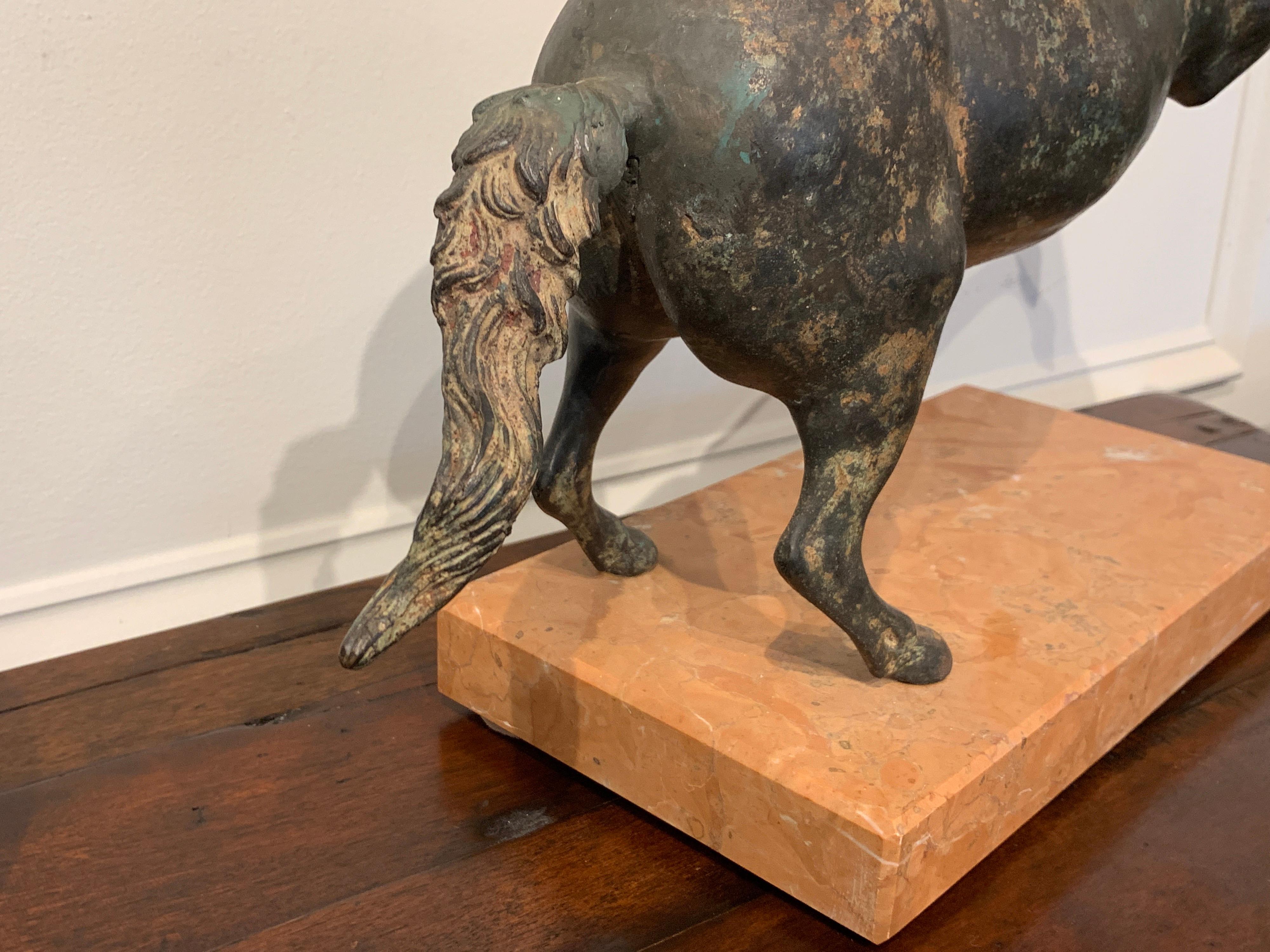 Grand Tour Bronze Sculpture of a Rearing Horse For Sale 5