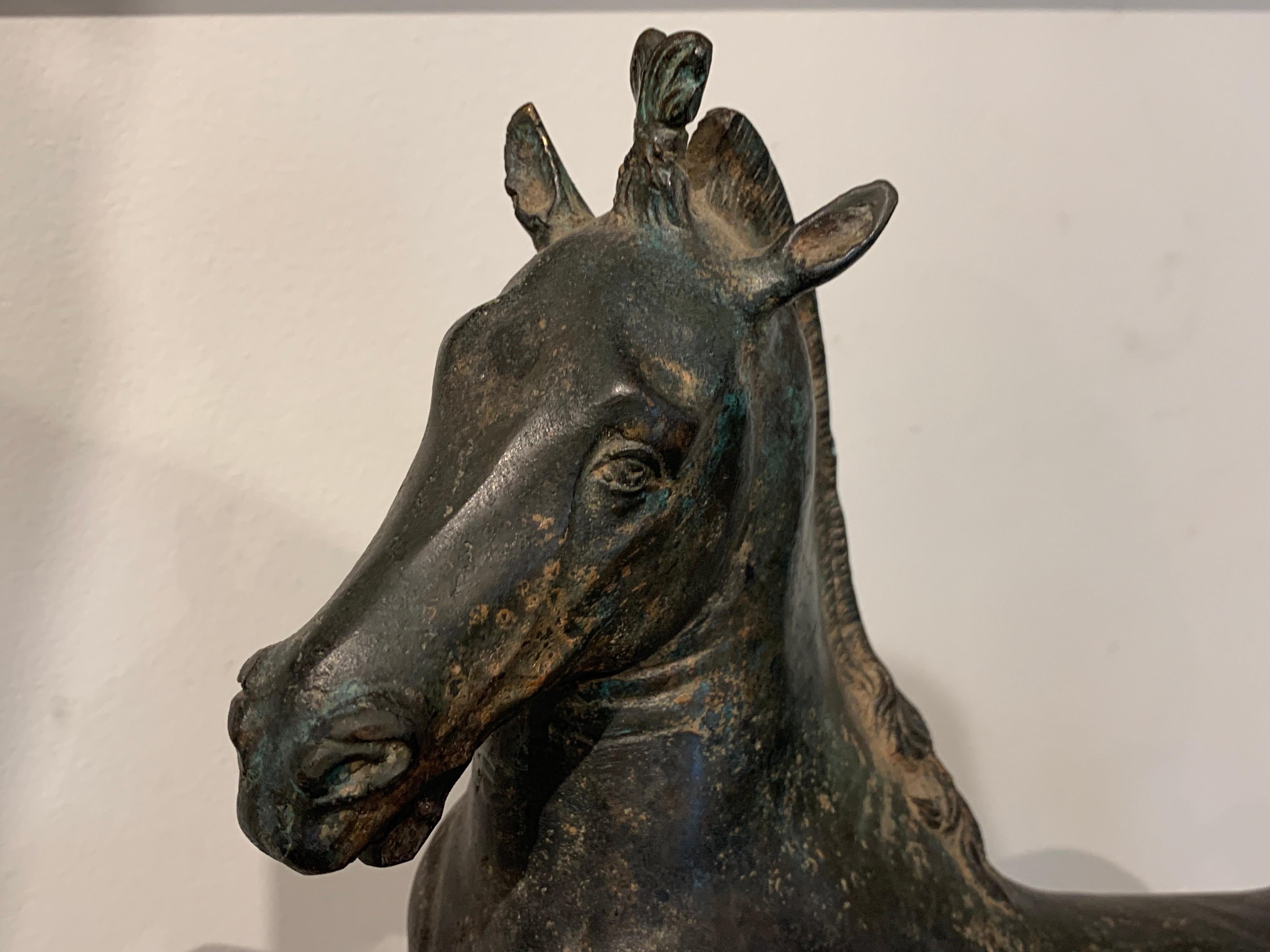 Grand Tour Bronze Sculpture of a Rearing Horse For Sale 6