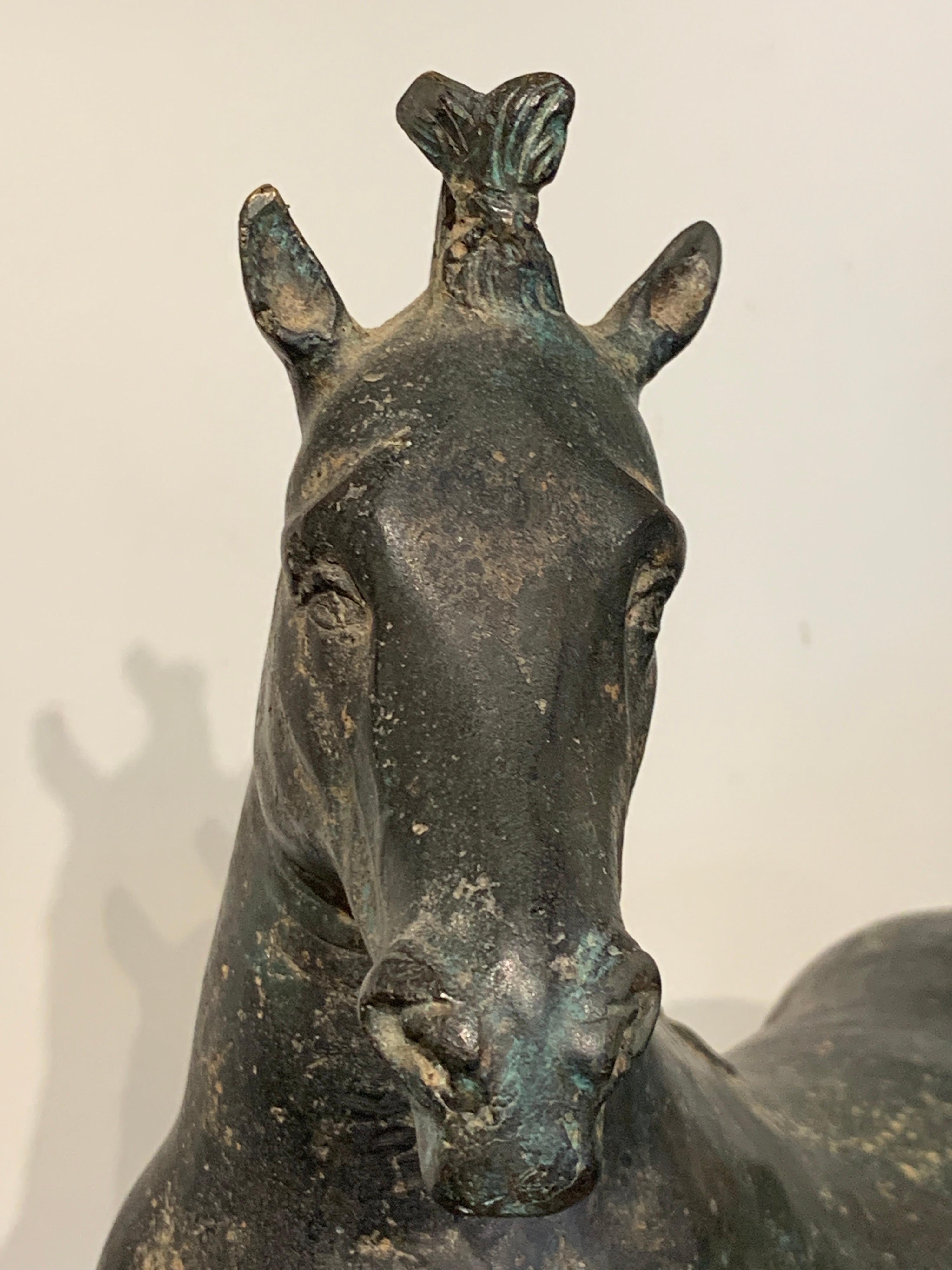 Grand Tour Bronze Sculpture of a Rearing Horse For Sale 8