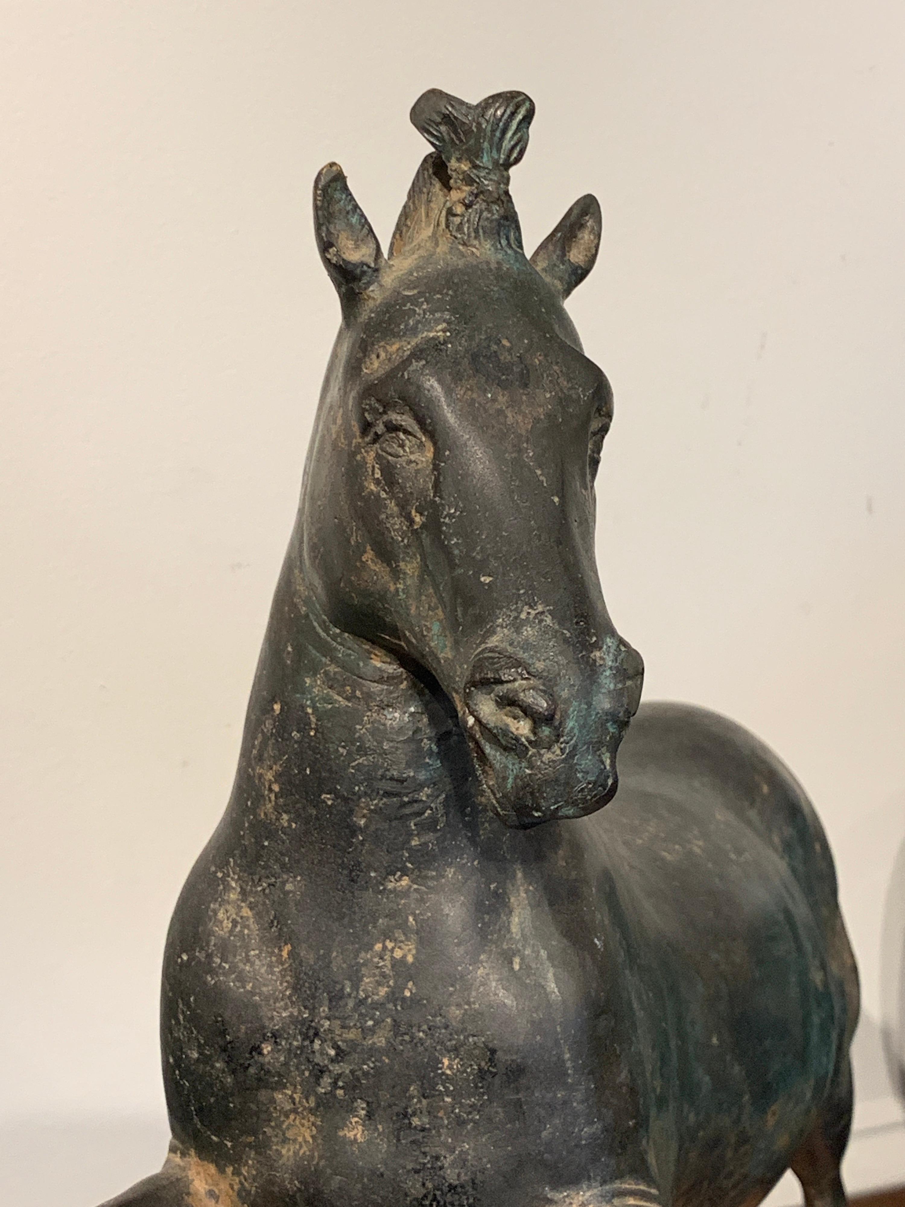 Grand Tour Bronze Sculpture of a Rearing Horse For Sale 3