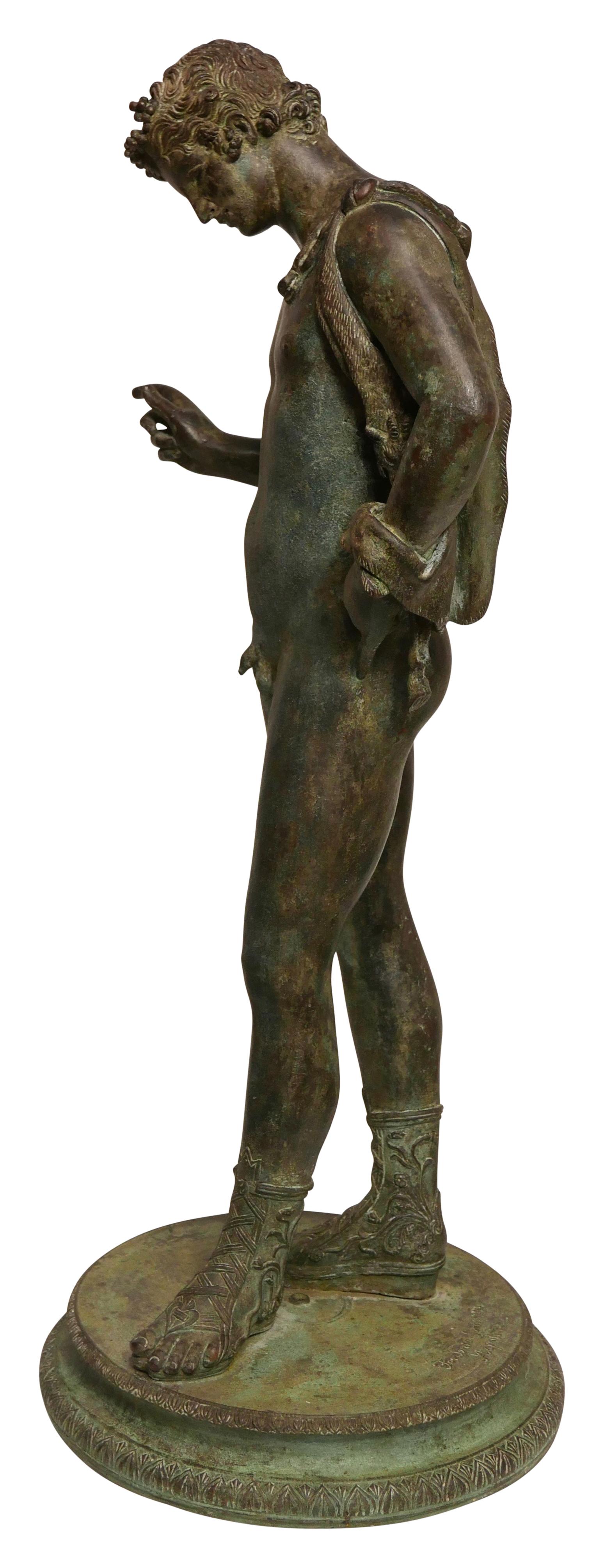 narcissus gladiator