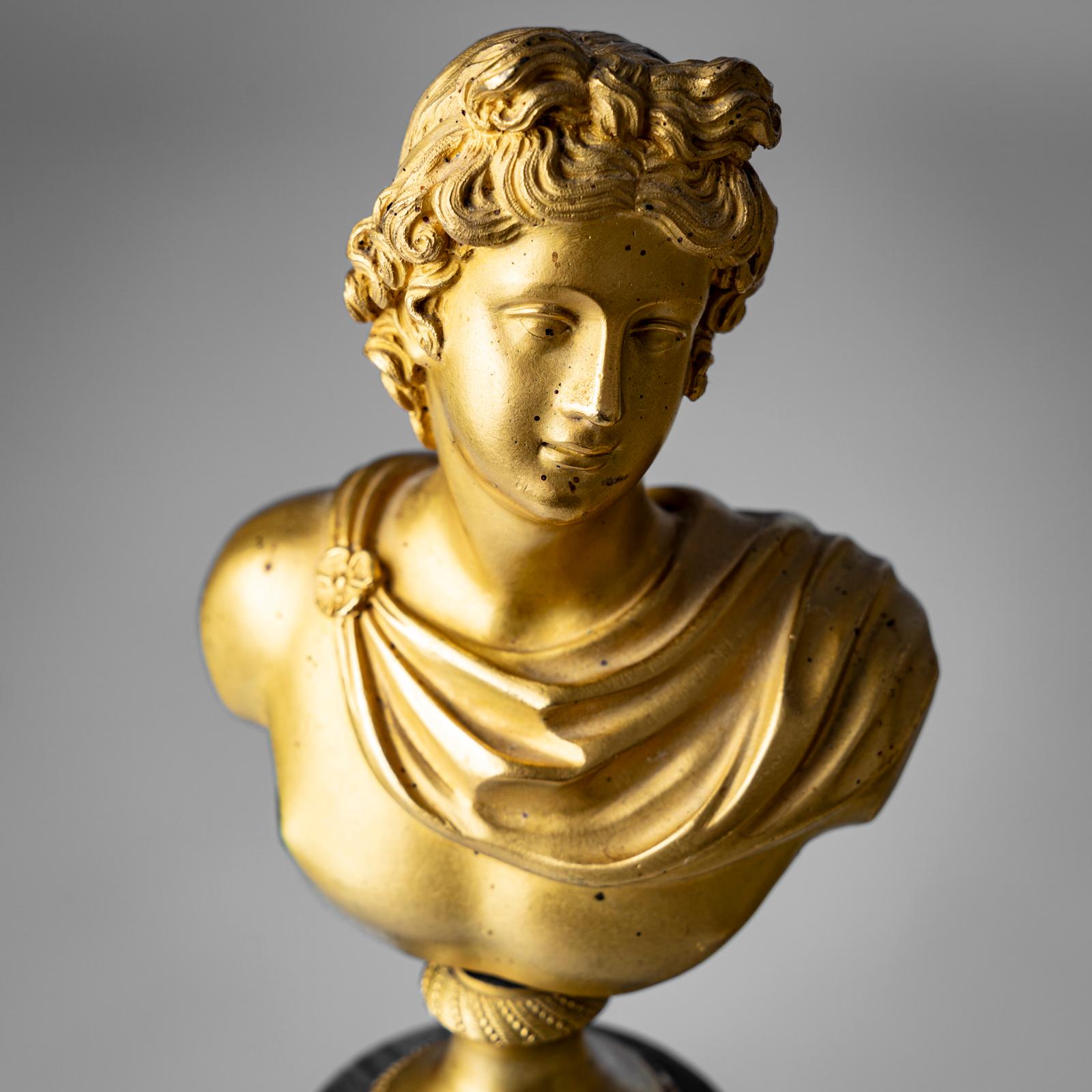 Italiano Busto Grand Tour di Apollo Belvedere, Italia XIX secolo in vendita
