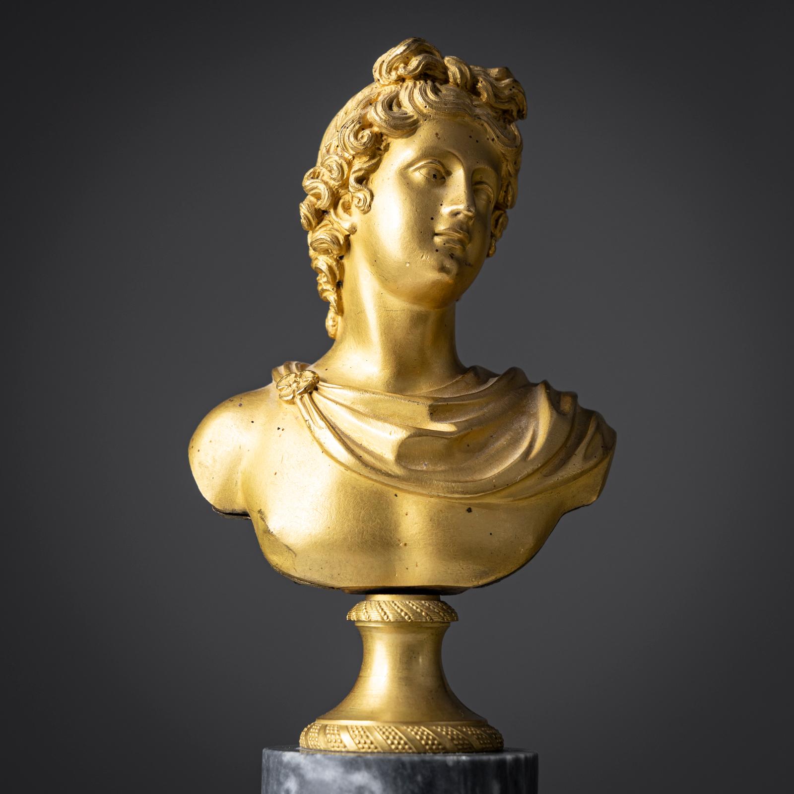 Busto Grand Tour di Apollo Belvedere, Italia XIX secolo In condizioni buone in vendita a Greding, DE