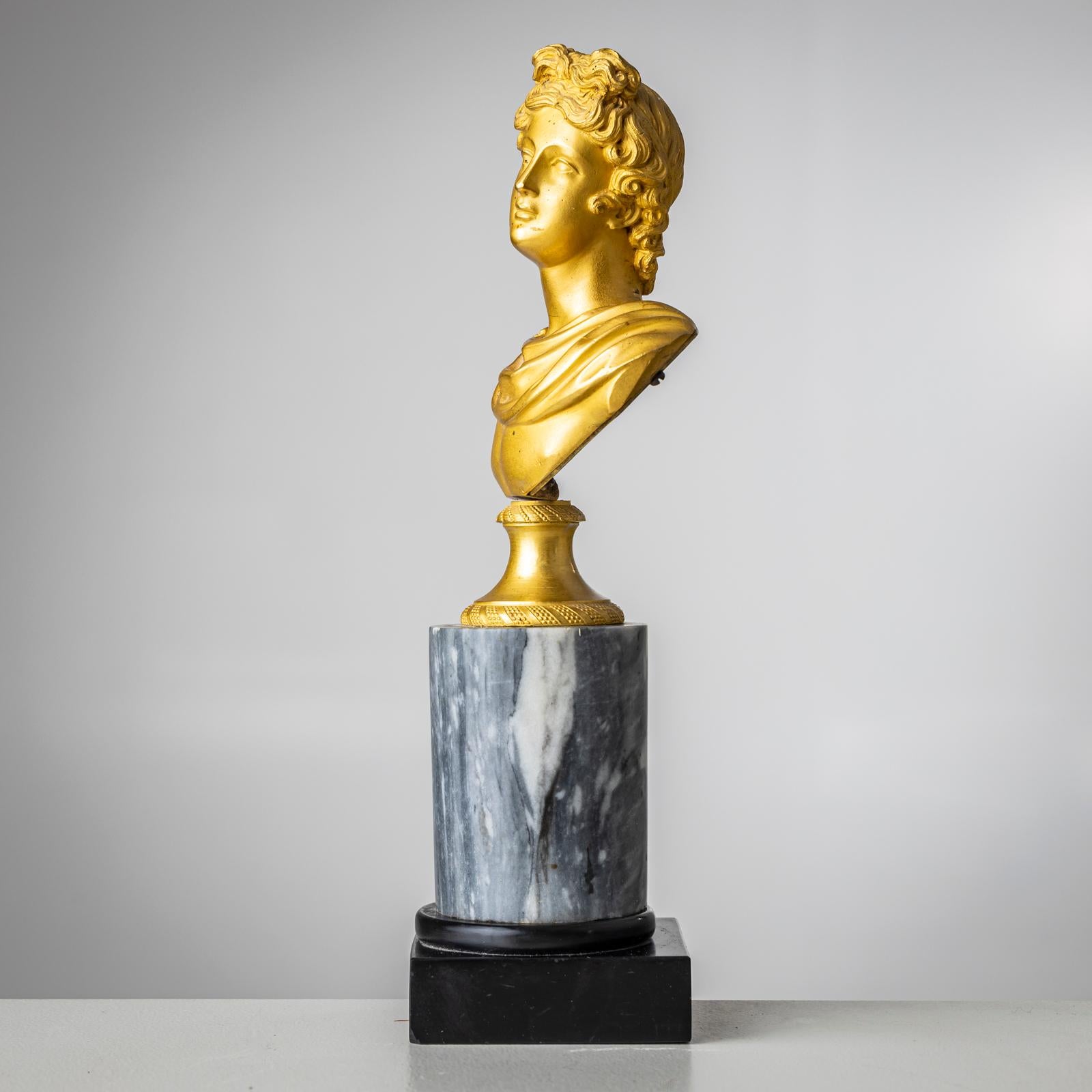 Bronzo Busto Grand Tour di Apollo Belvedere, Italia XIX secolo in vendita