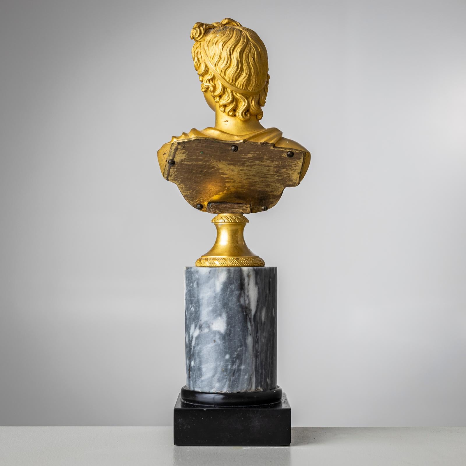 Busto Grand Tour di Apollo Belvedere, Italia XIX secolo in vendita 1