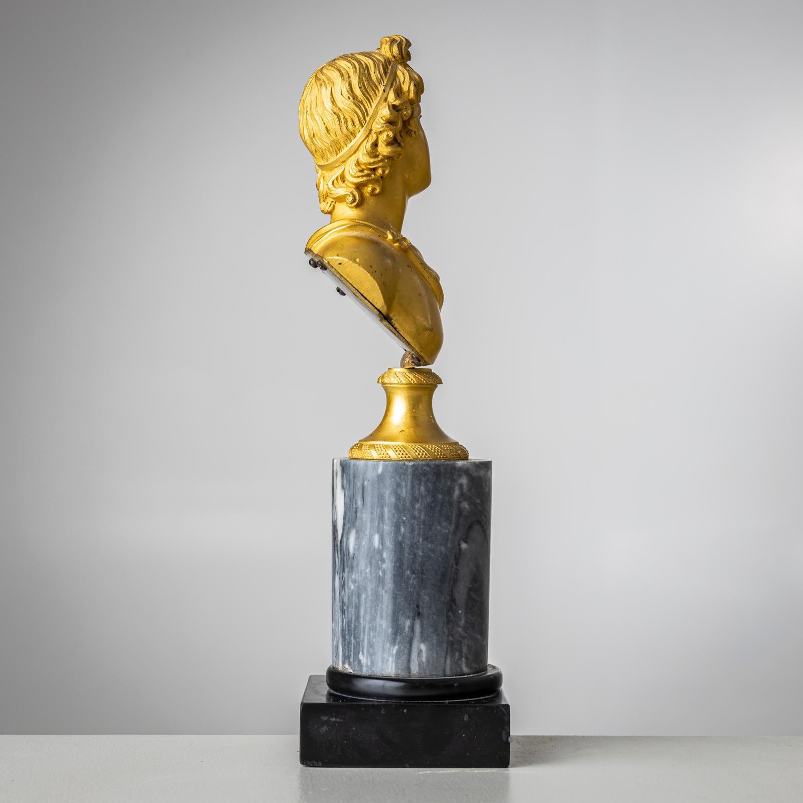Busto Grand Tour di Apollo Belvedere, Italia XIX secolo in vendita 2
