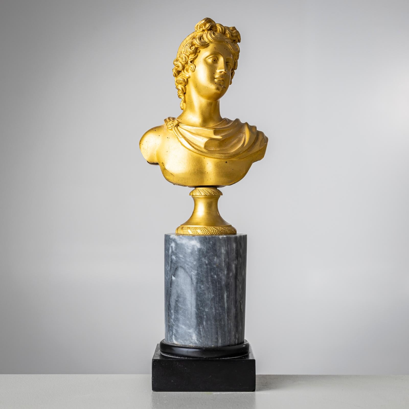 Busto Grand Tour di Apollo Belvedere, Italia XIX secolo in vendita 3