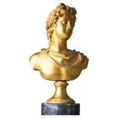 Gran Tour Busto de Apolo Belvedere, Italia Siglo XIX