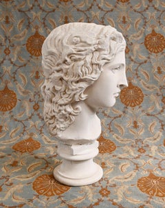 Grand Tour Bust Venus de Medici Plaster Sculpture