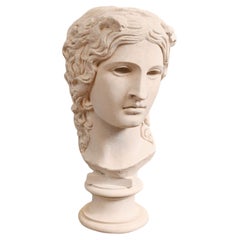 Grand Tour Bust Venus de Medici Plaster Sculpture