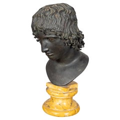 Grand Tour Italian Bronze Bust Of Mellephebe