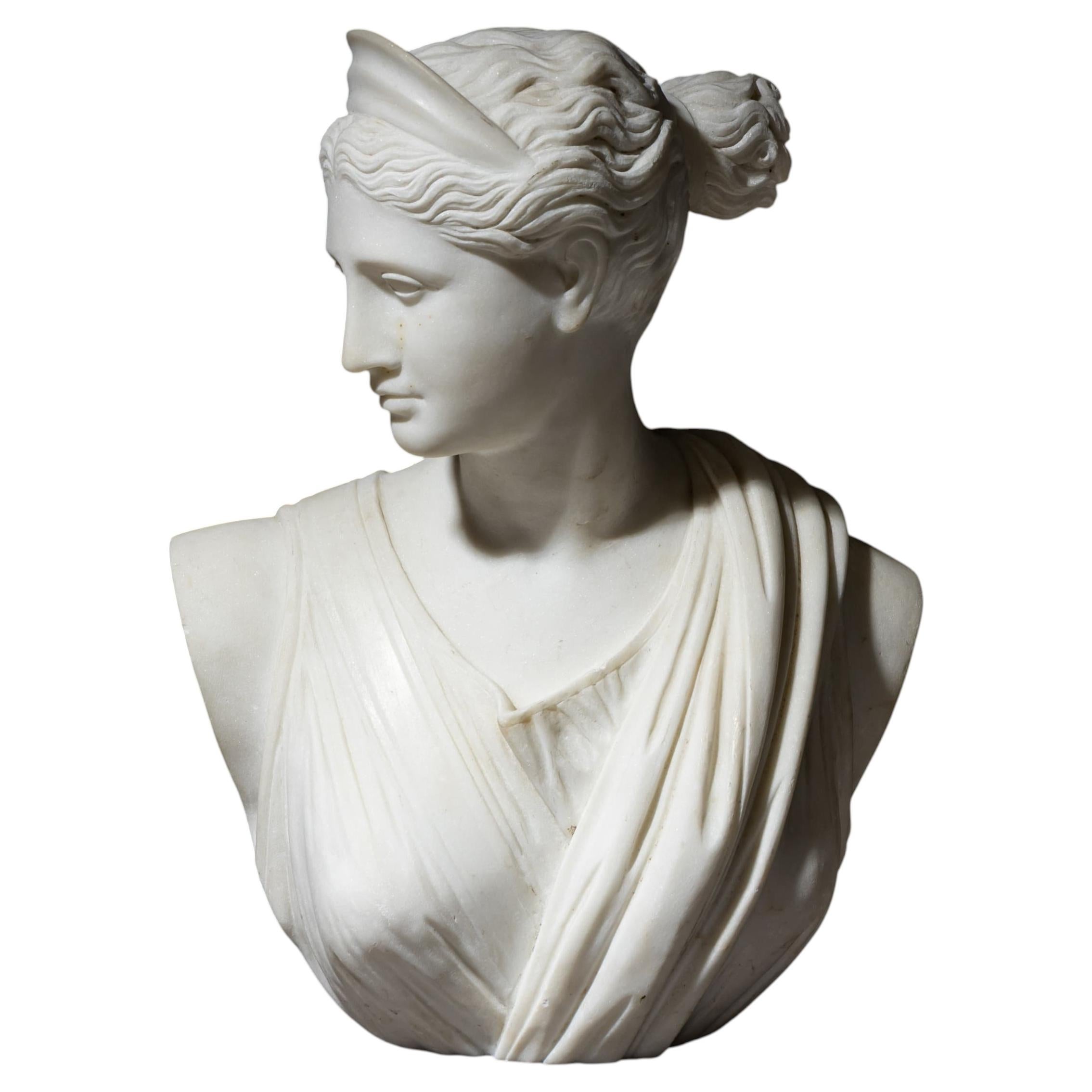 Grand Tour Marble Bust of Diana of Versailles, 19th Century