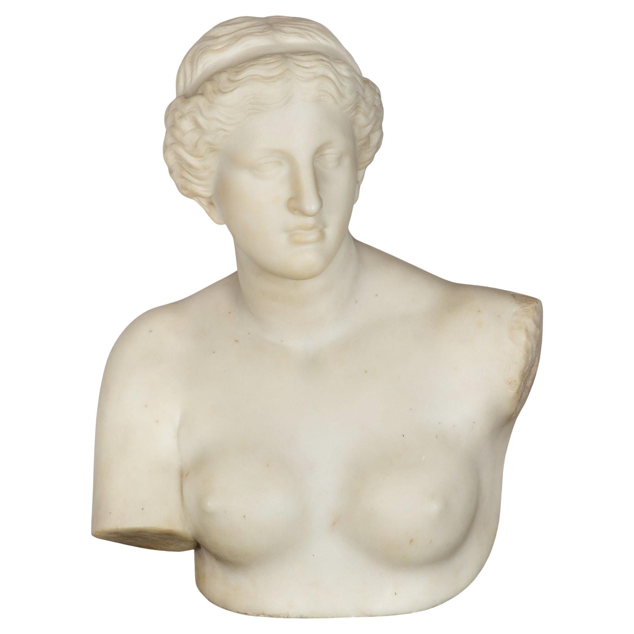 Gran Tour Escultura de Mármol Busto de Venus de Milo según la Antigüedad