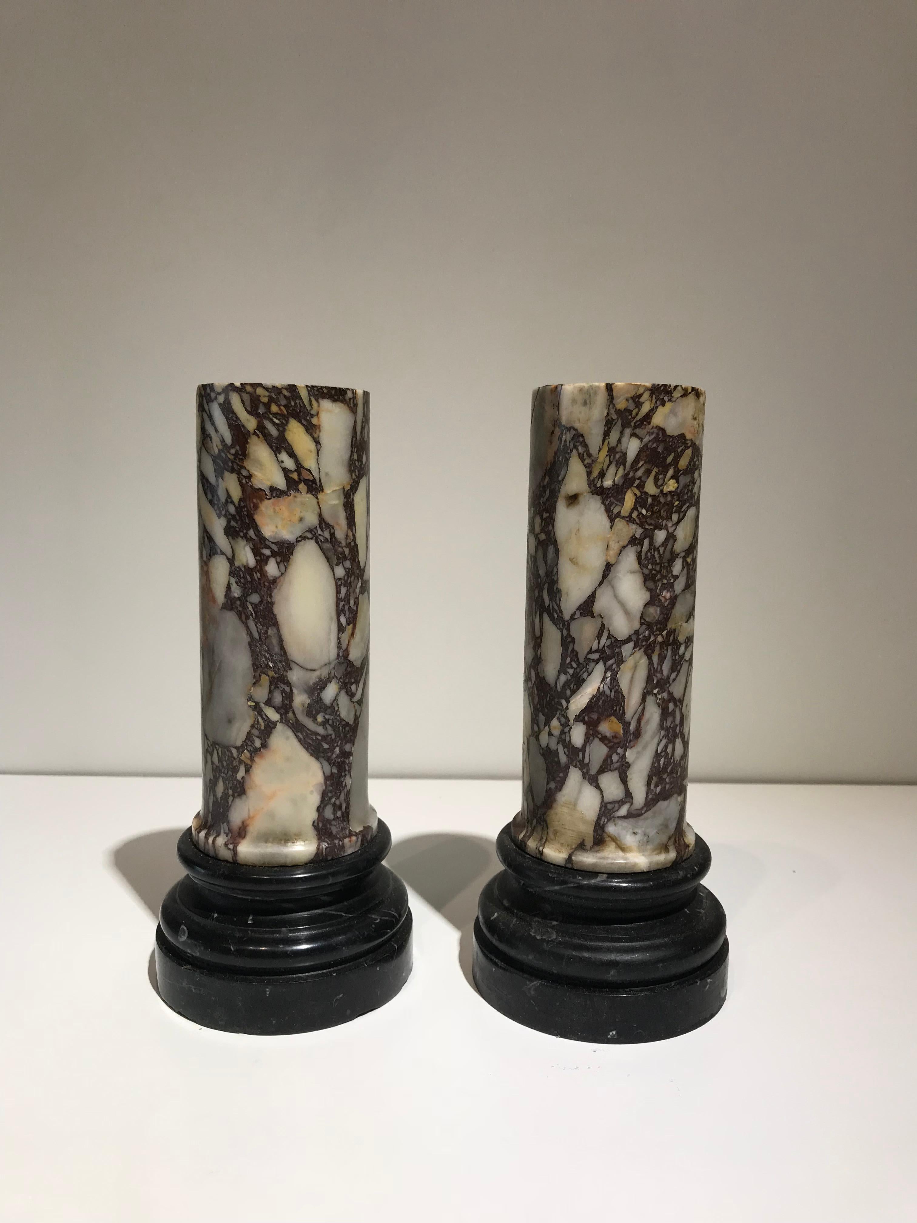 A very beautiful pair of Grand Tour pedestal in Classical Roman style made in a rare and very elegance specimen marble, Breccia di Sciro. The term 