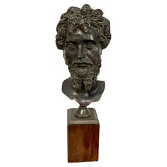 Grand Tour Roamn Style Bronze Bust of a Man