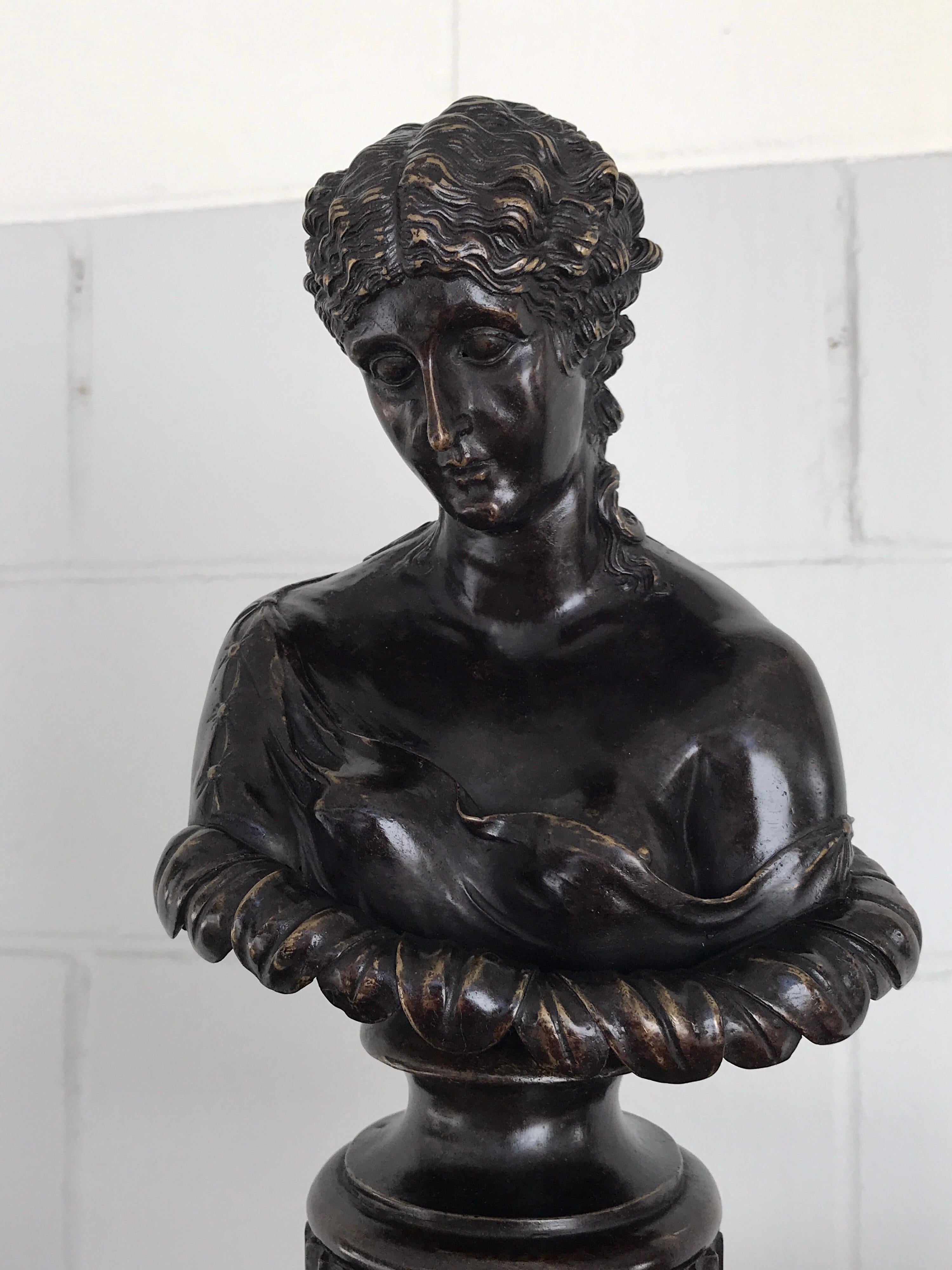 French Grand Tour Style Bronze Bust of Clytie For Sale