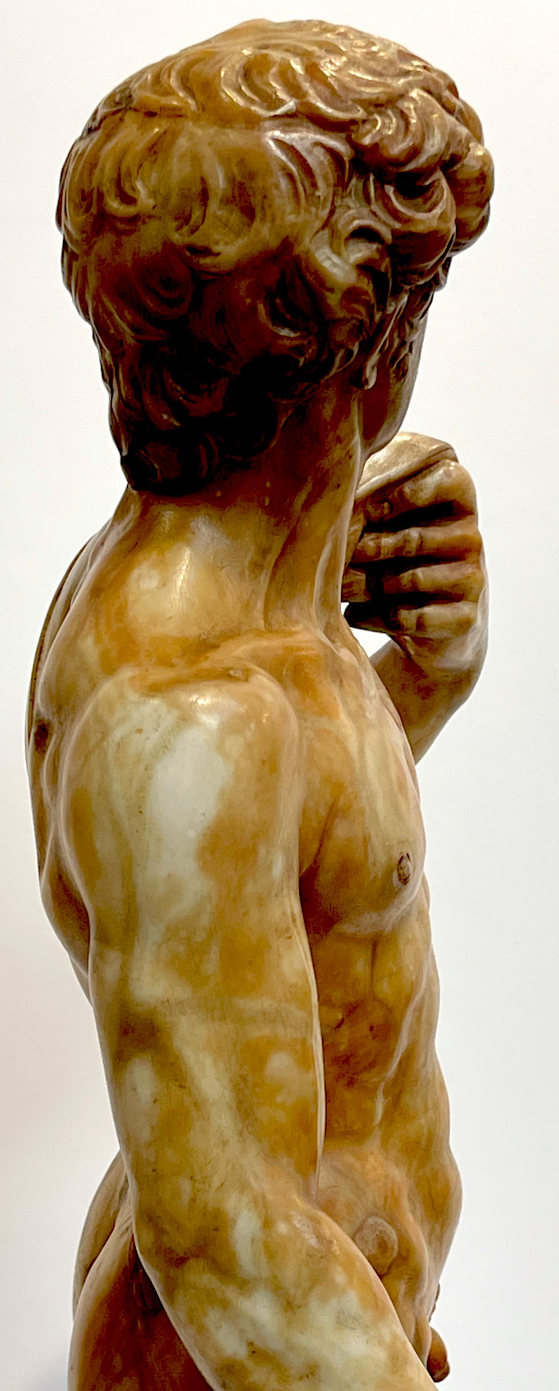Grand Tour Tortoiseshell Quartz/Mable Sculpture of Michelangelo's David For Sale 5