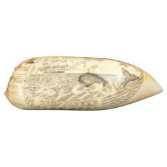Grande scrimshaw dente di balena datato 1838 SHIP PARKER Capt William AUSTIN