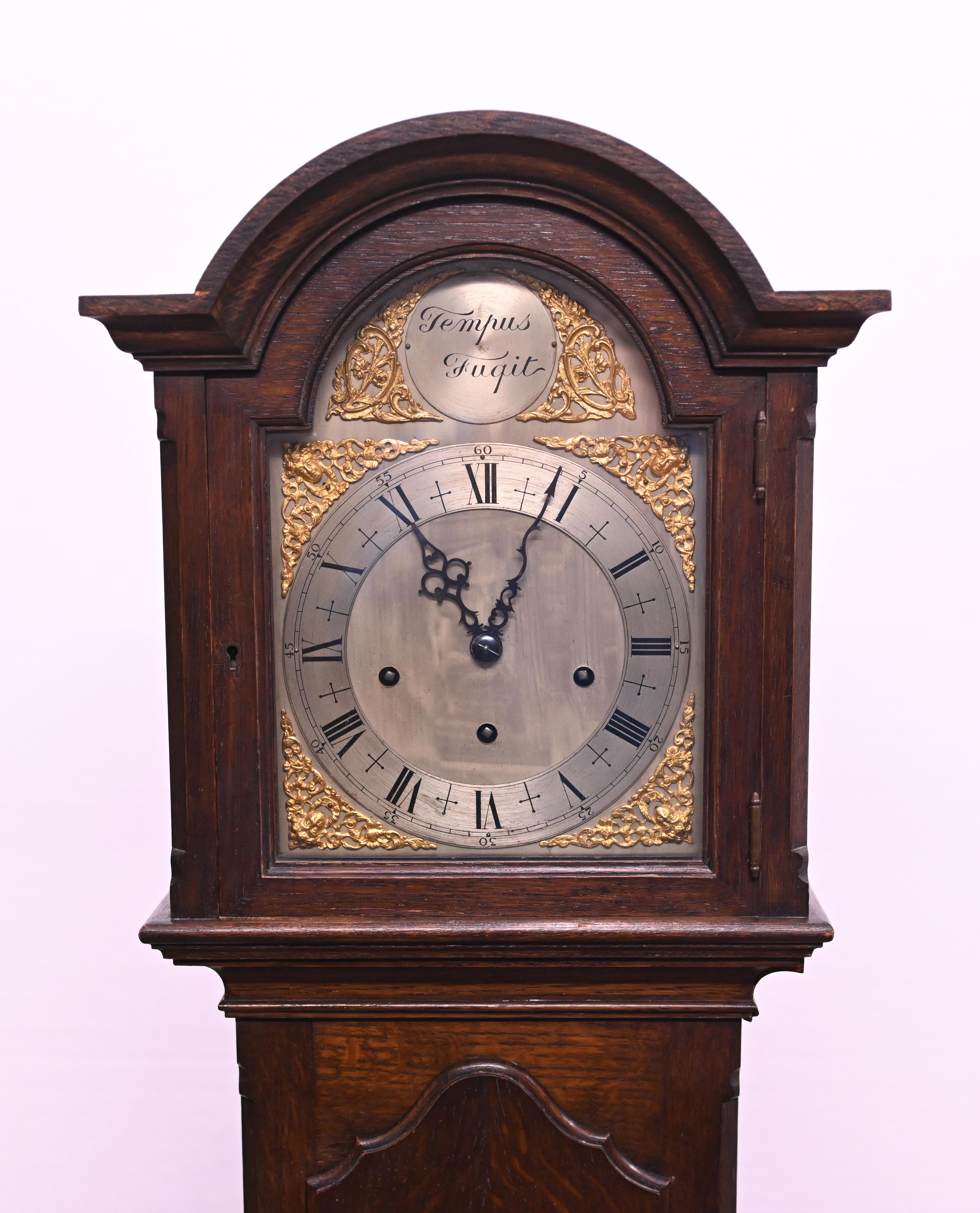 Gorgeous English oak antique grandfather clock
Lovely clock face with a small panel reading 'Tempus Fugit' - Latin for time flies
Features a chiming mechanism
Circa 1920 on this clock
Offered in great shape ready for home use right away
We ship to