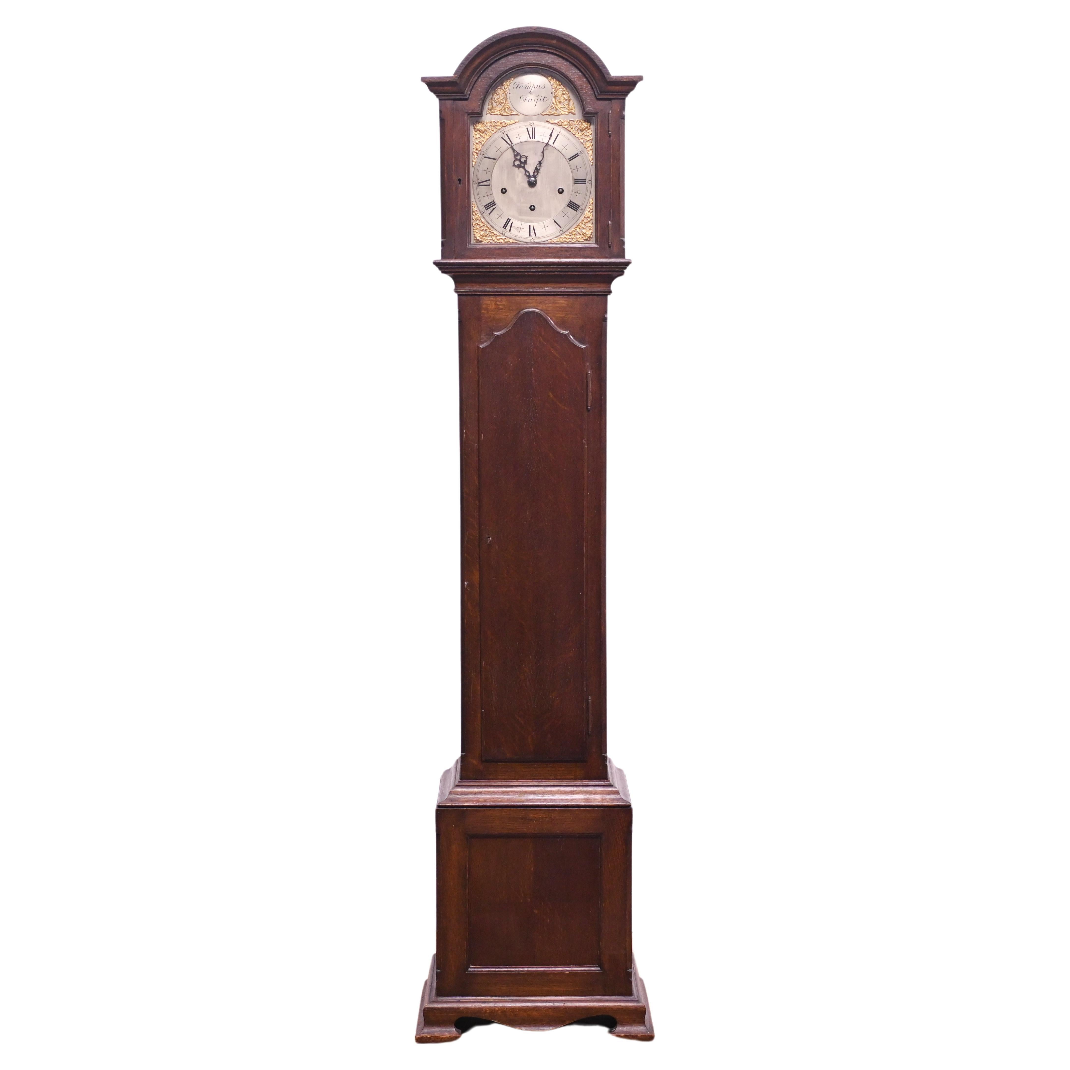 Grandfather Clock Oak Longcase Chiming Tempus Fugit For Sale