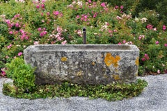 Granite Well, 19th Century, France