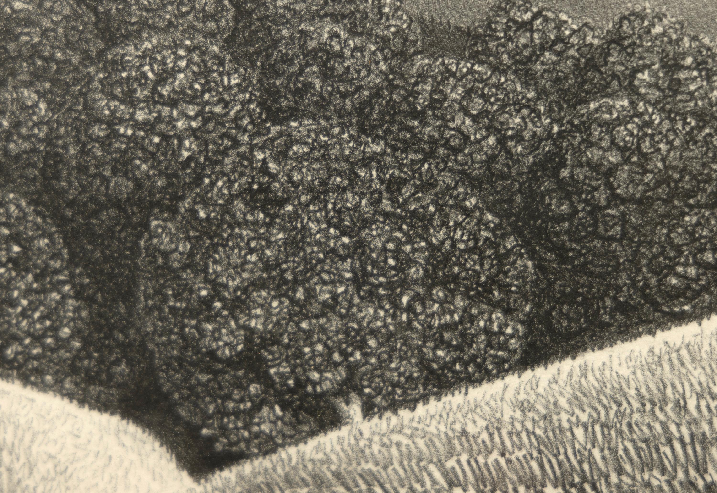 grant wood signature