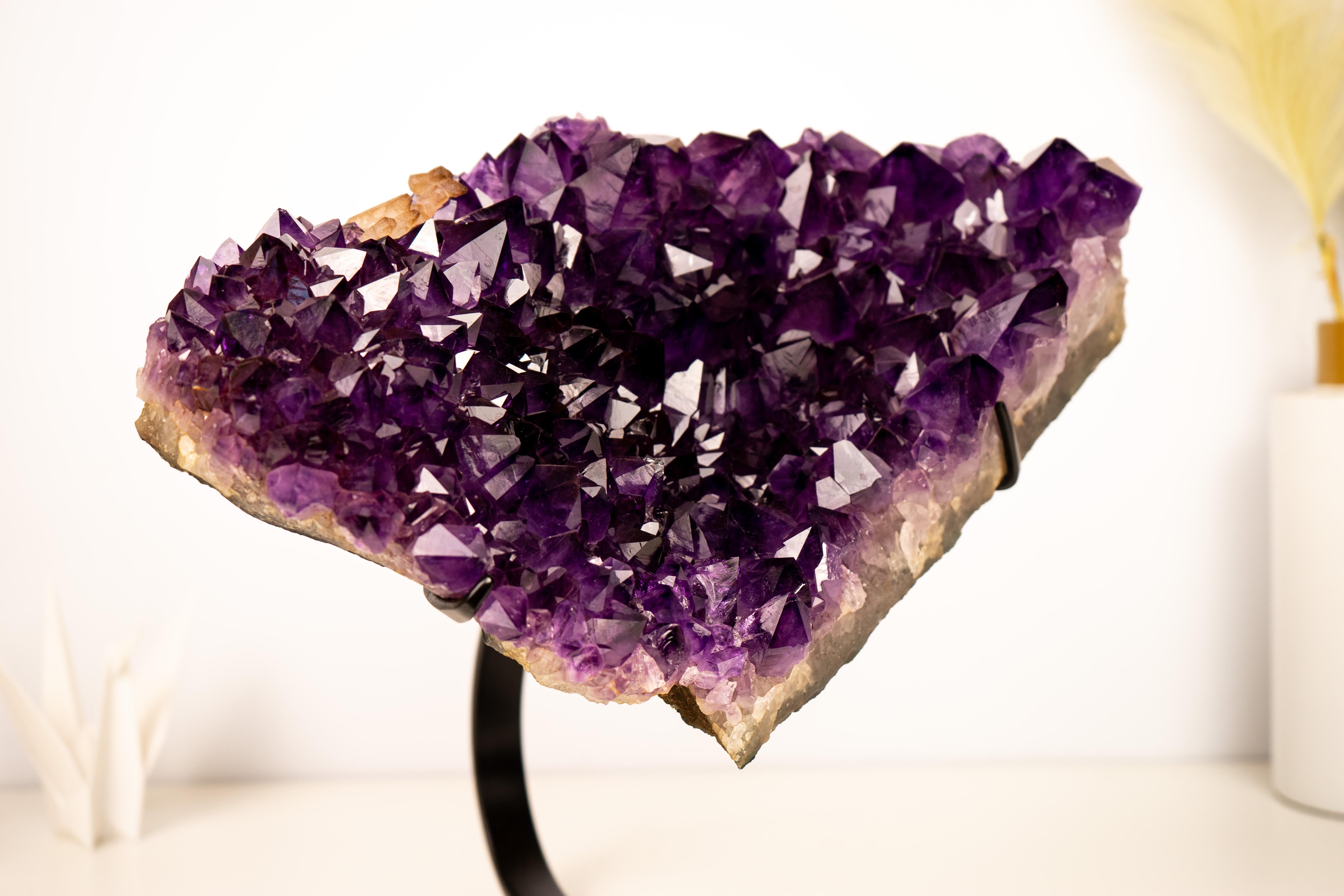 A Phenomenal Grape Jelly Amethyst Cluster, Large, Aesthetical and Rare

▫️ Description

Phenomenal due to both its extraordinary color and unique formation, this Amethyst Cluster showcases a deep, rich purple tone known as the highly sought-after