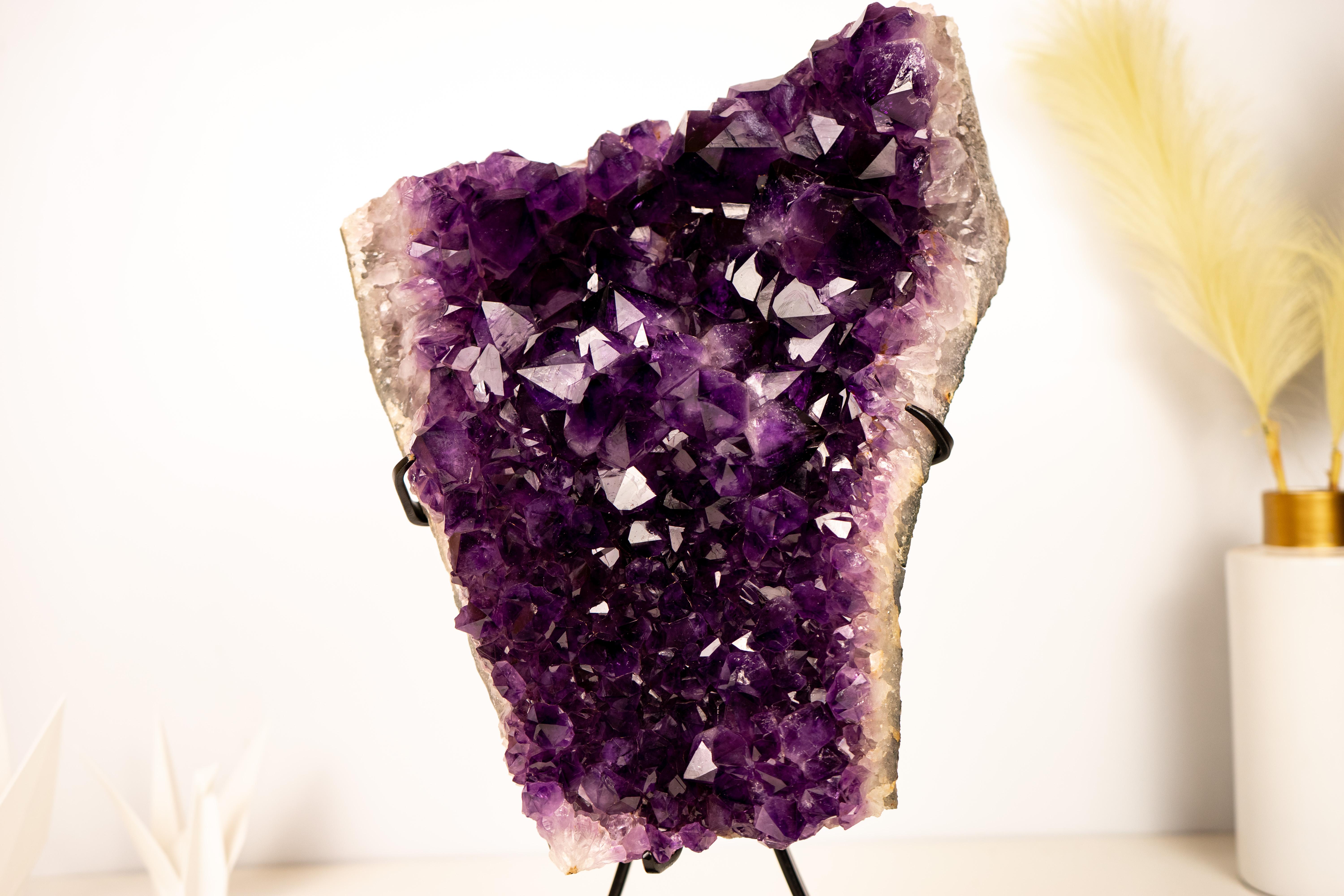 Raro grappolo di ametista a gelatina d'uva con un'estetica formazione floreale

▫️ Descrizione

Fenomenale sia per il suo colore eccezionale che per la sua formazione scultorea, questo grande grappolo di ametista mostra la profonda e ricca tonalità