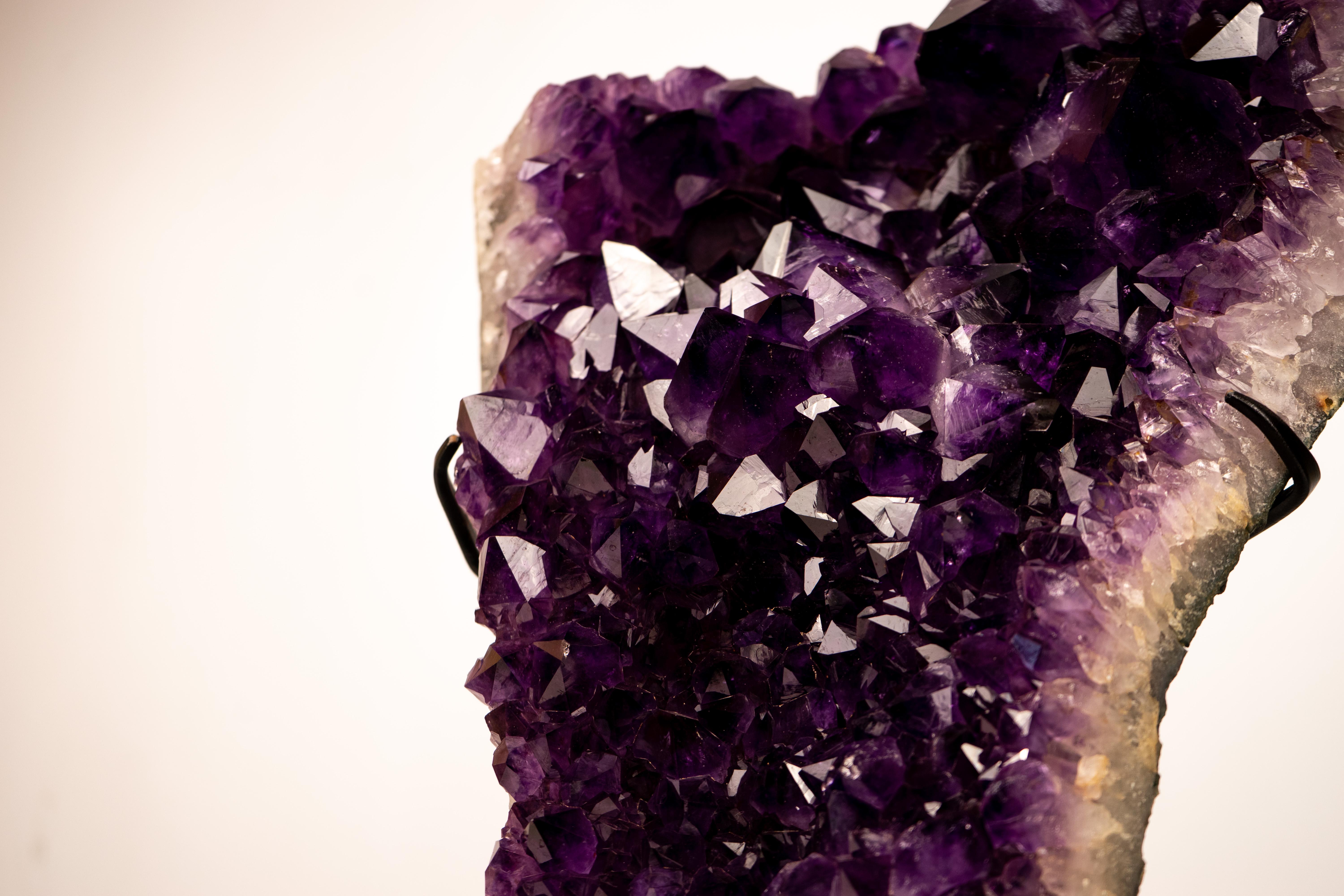 Cristallo Grape Jelly Purple Amethyst Cluster - Pezzo forte con formazioni floreali in vendita