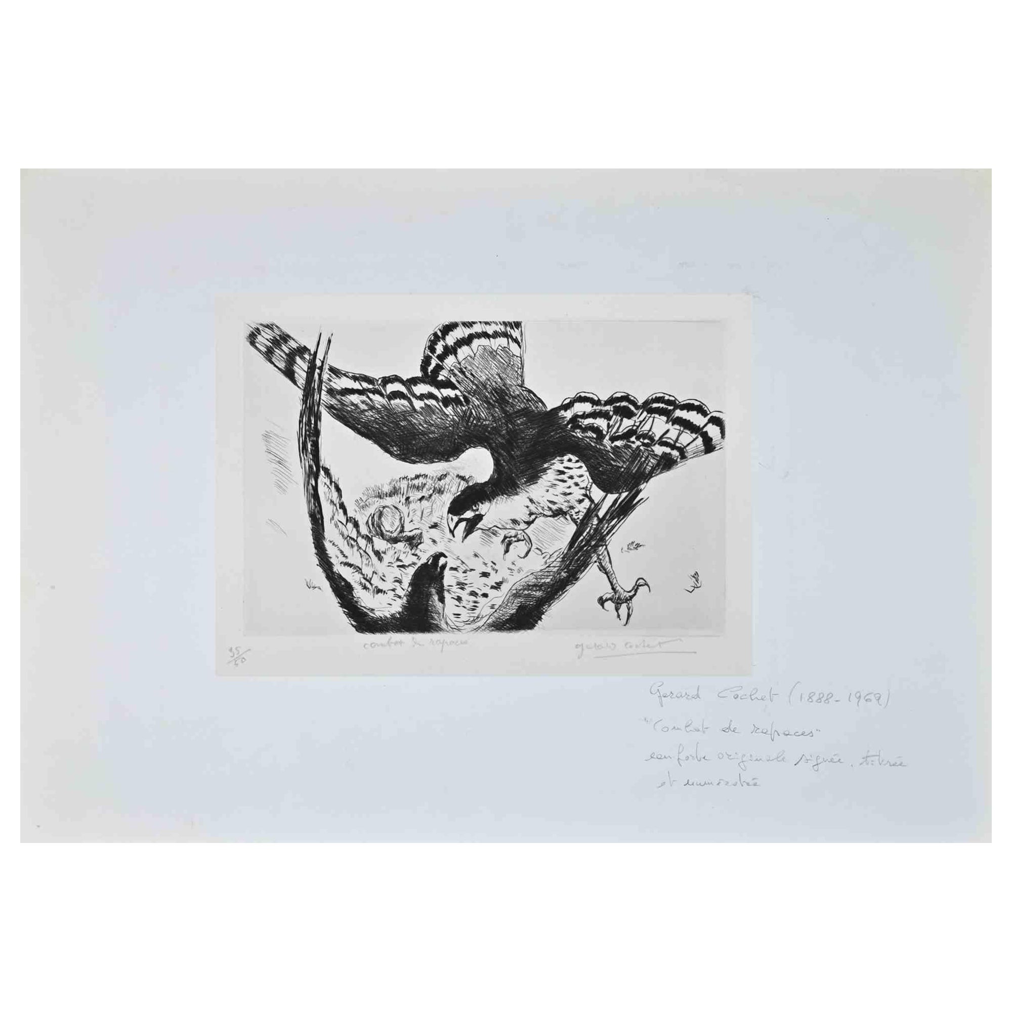 Lucha -  Grabado original de Gérard Cochet - Principios del siglo XX