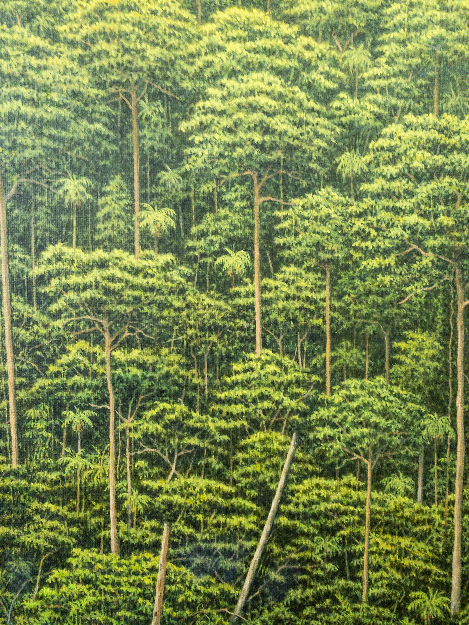 Celebration of a New Day di Gérard Priault - Quadro della foresta pluviale tropicale, alberi in vendita 7