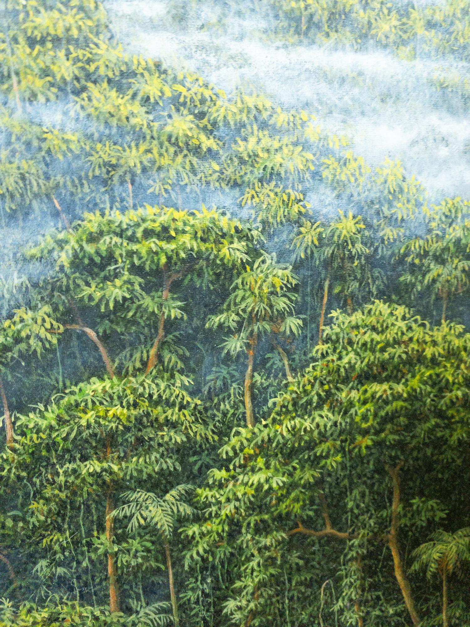 Tagundnachtgleiche Morgen von Gérard Priault - Tropischer Regenwald, Natur, Bäume im Angebot 4