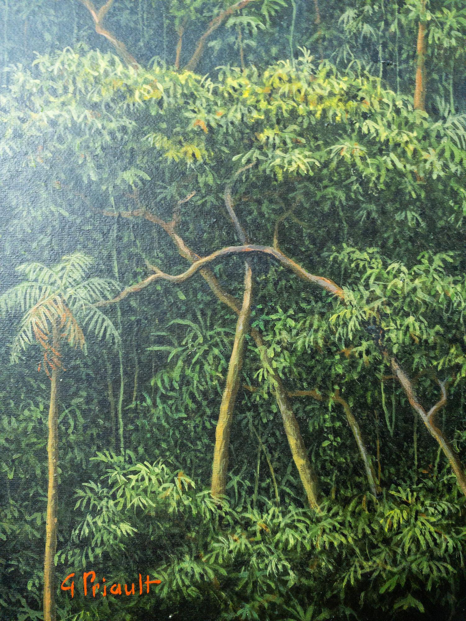 Equinox Morning di Gérard Priault - Quadro della foresta pluviale tropicale, natura, alberi in vendita 7