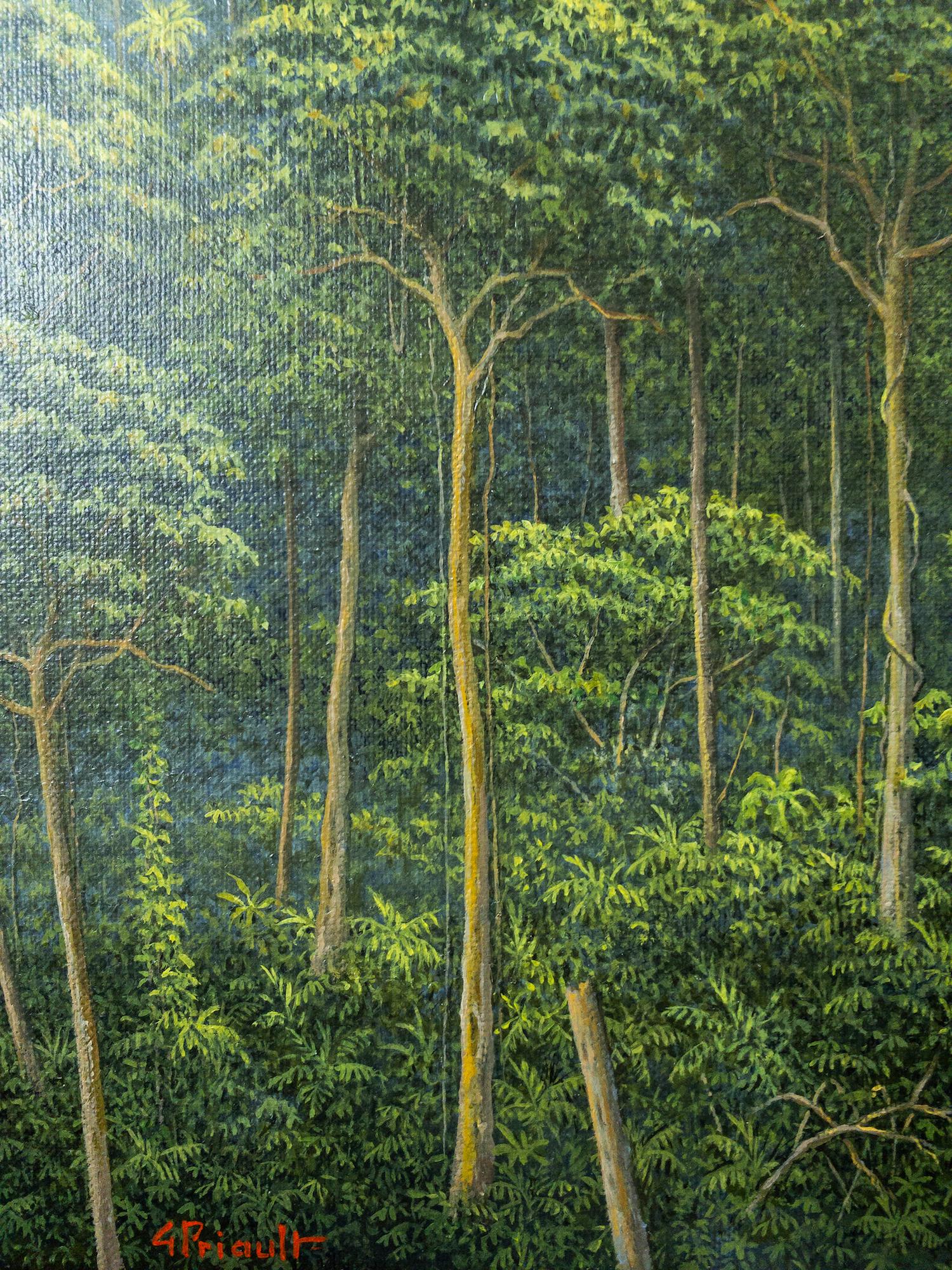 Fragrances et bruillements de G. Priault - Pintura selva tropical, paisaje en venta 4