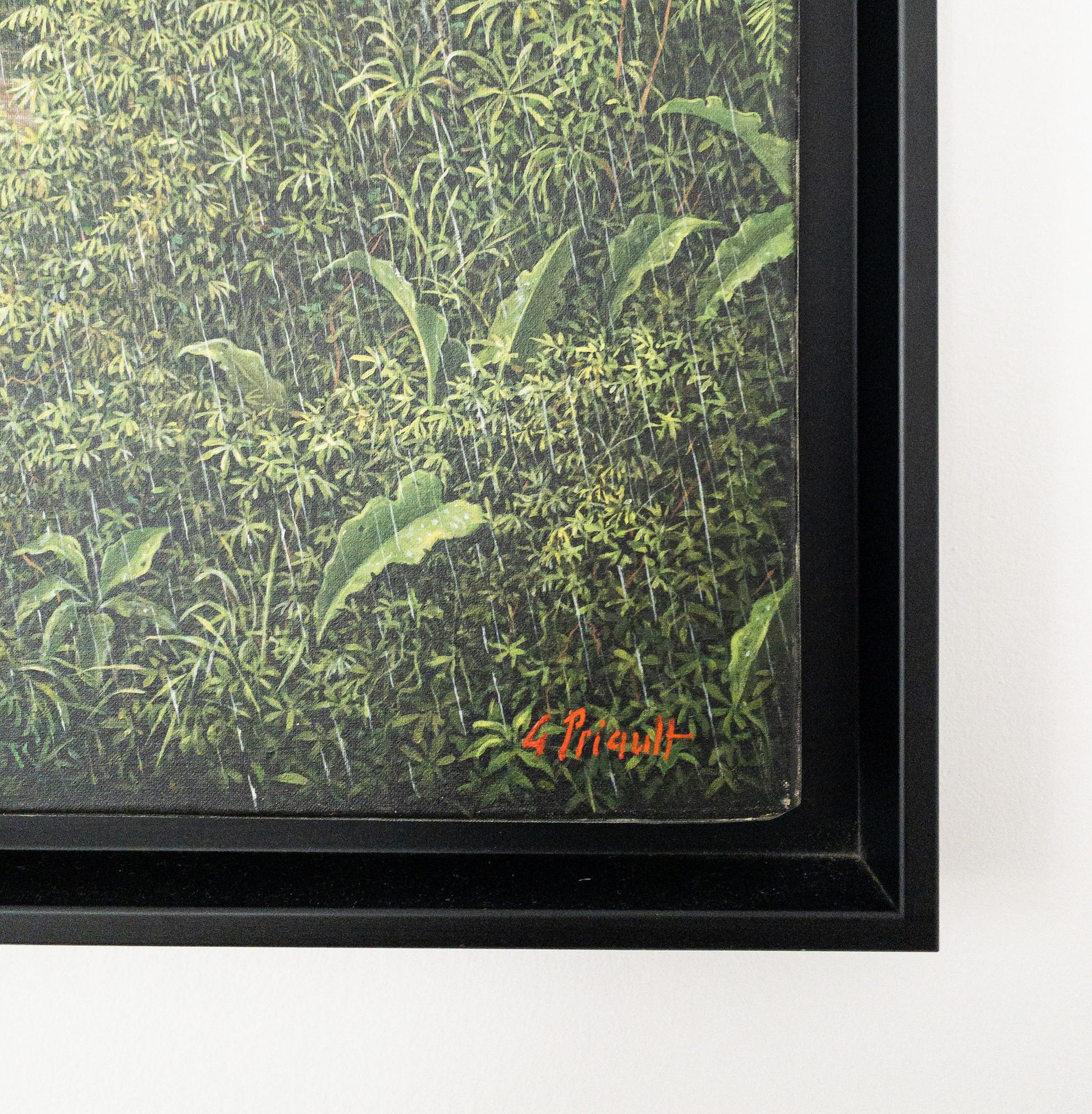 Von Harmonie und Aufruhr von Gérard Priault - Tropischer Regenwald, Natur im Angebot 3