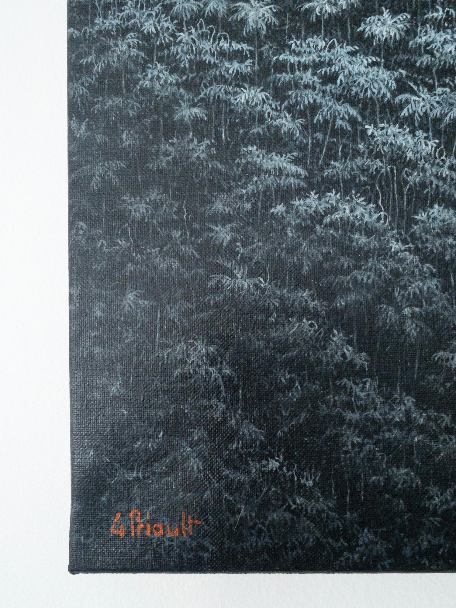 The Celestial River von Gérard Priault - Tropische Regenwaldmalerei, Landschaft im Angebot 15