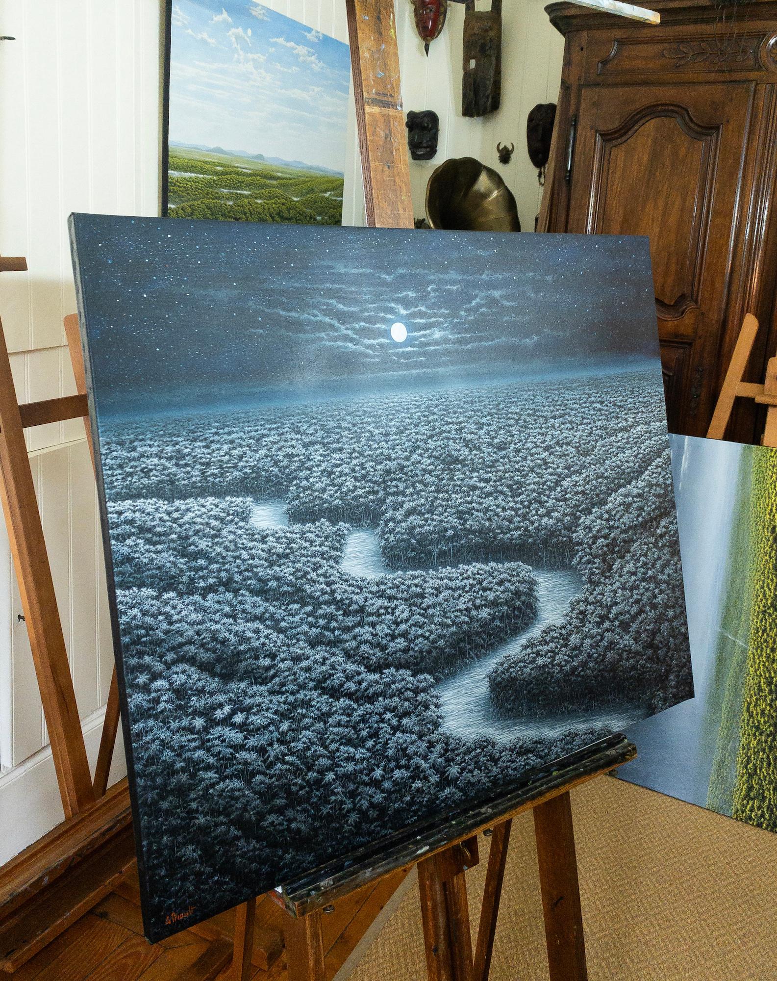 The Celestial River von Gérard Priault - Tropische Regenwaldmalerei, Landschaft im Angebot 6