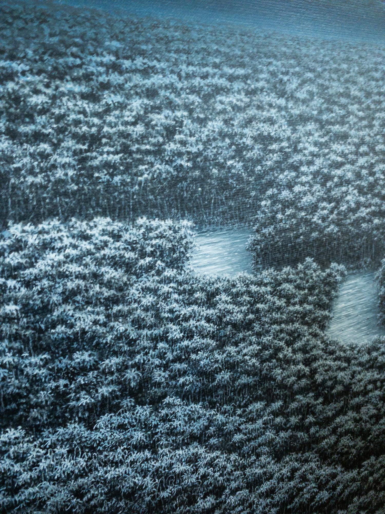 The Celestial River von Gérard Priault - Tropische Regenwaldmalerei, Landschaft im Angebot 7