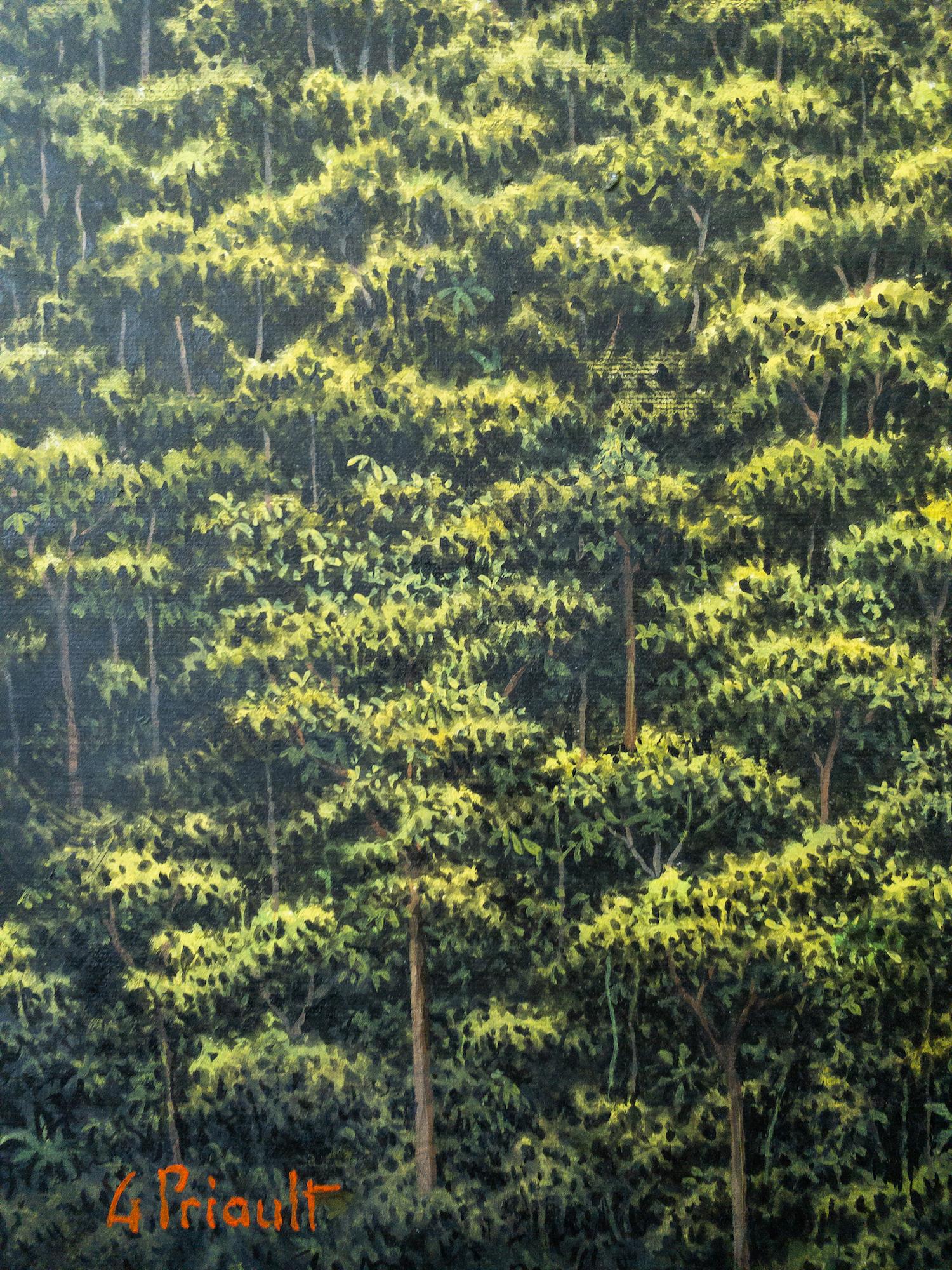 The Little Smoke de Gérard Priault - Peinture de forêt tropicale, nature, arbres en vente 6