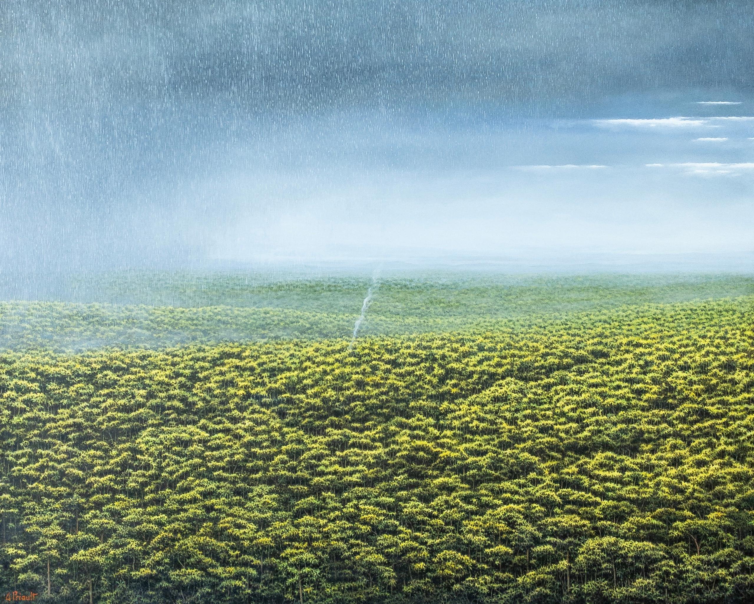 La petite fumée est une peinture unique à l'huile sur toile de l'artiste contemporain Gérard Priault, dont les dimensions sont de 81 × 100 cm (31,9 × 39,4 in). 
L'œuvre est signée, vendue non encadrée et accompagnée d'un certificat d'authenticité.