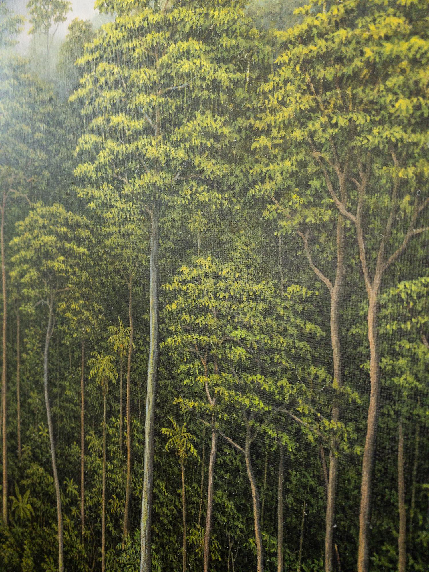 Il profumo del fiume di Gérard Priault - Quadro della foresta pluviale tropicale, natura in vendita 4