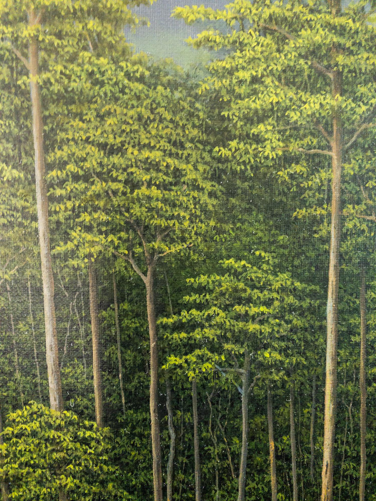 Il profumo del fiume di Gérard Priault - Quadro della foresta pluviale tropicale, natura in vendita 5