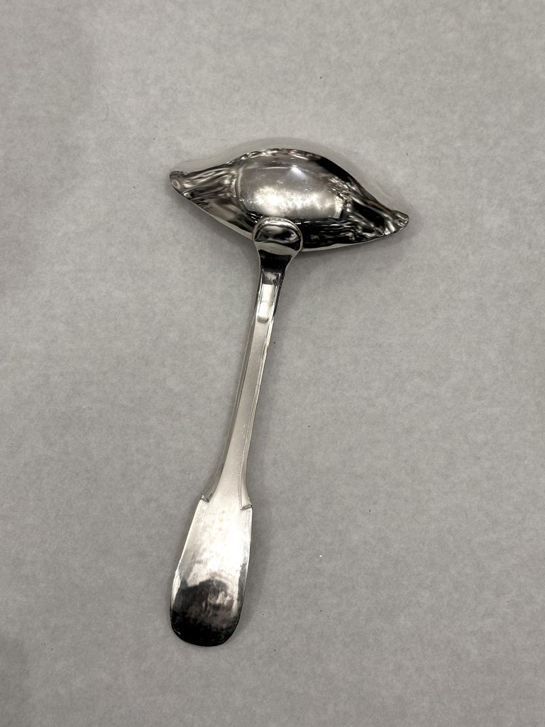 ERCUIS Cuillère à sauce gras maigre en écrin Modèle Victoria