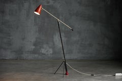 Grasshopper Floor Lamp ‘6320’ by Wim Rietveld for Gispen, Netherlands, 1950s