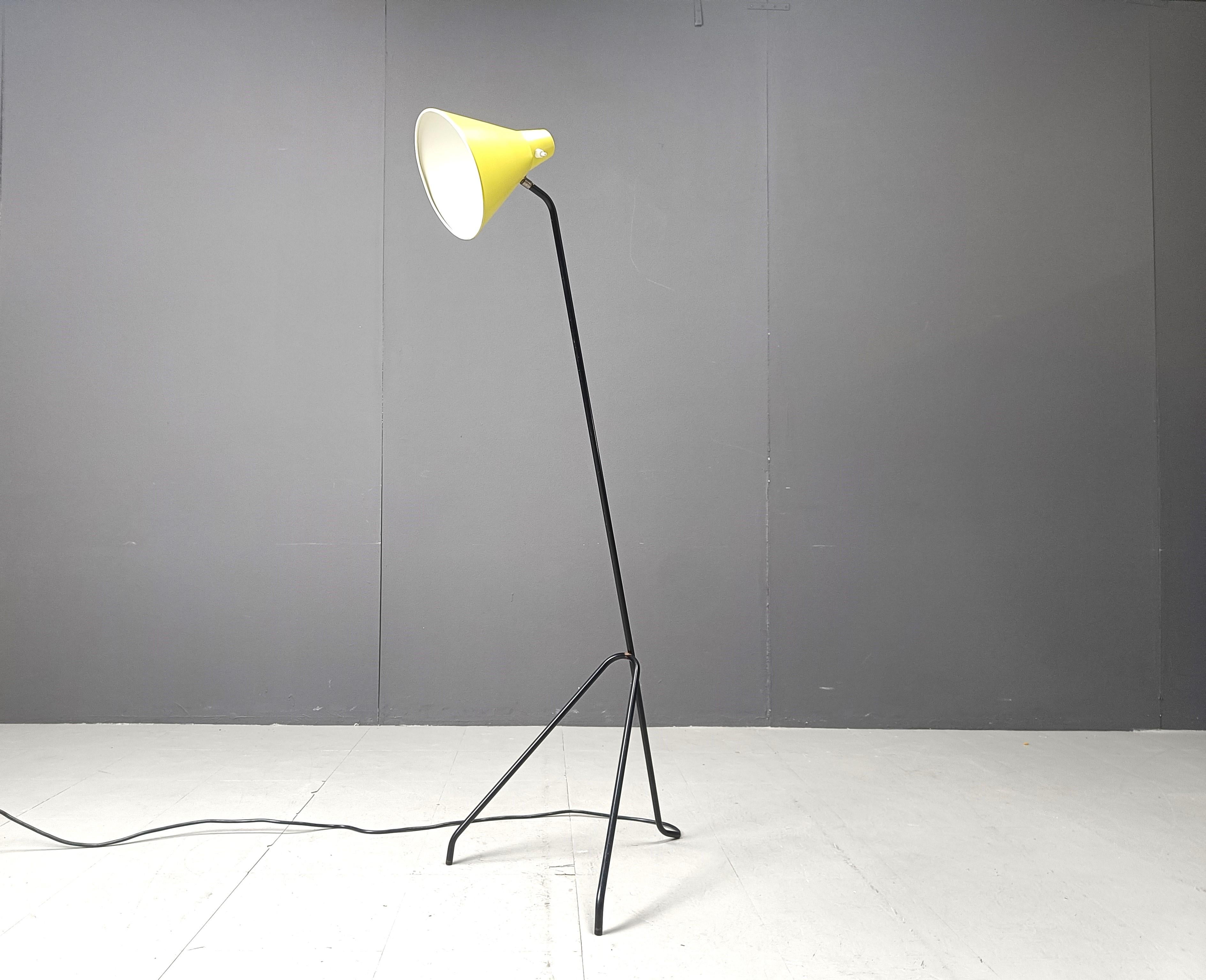 Grasshopper Floor Lamp by Willem Van Doorn, 1960s 4