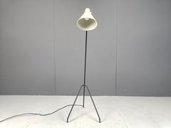 Grasshopper Floor Lamp by Willem Van Doorn, 1960s