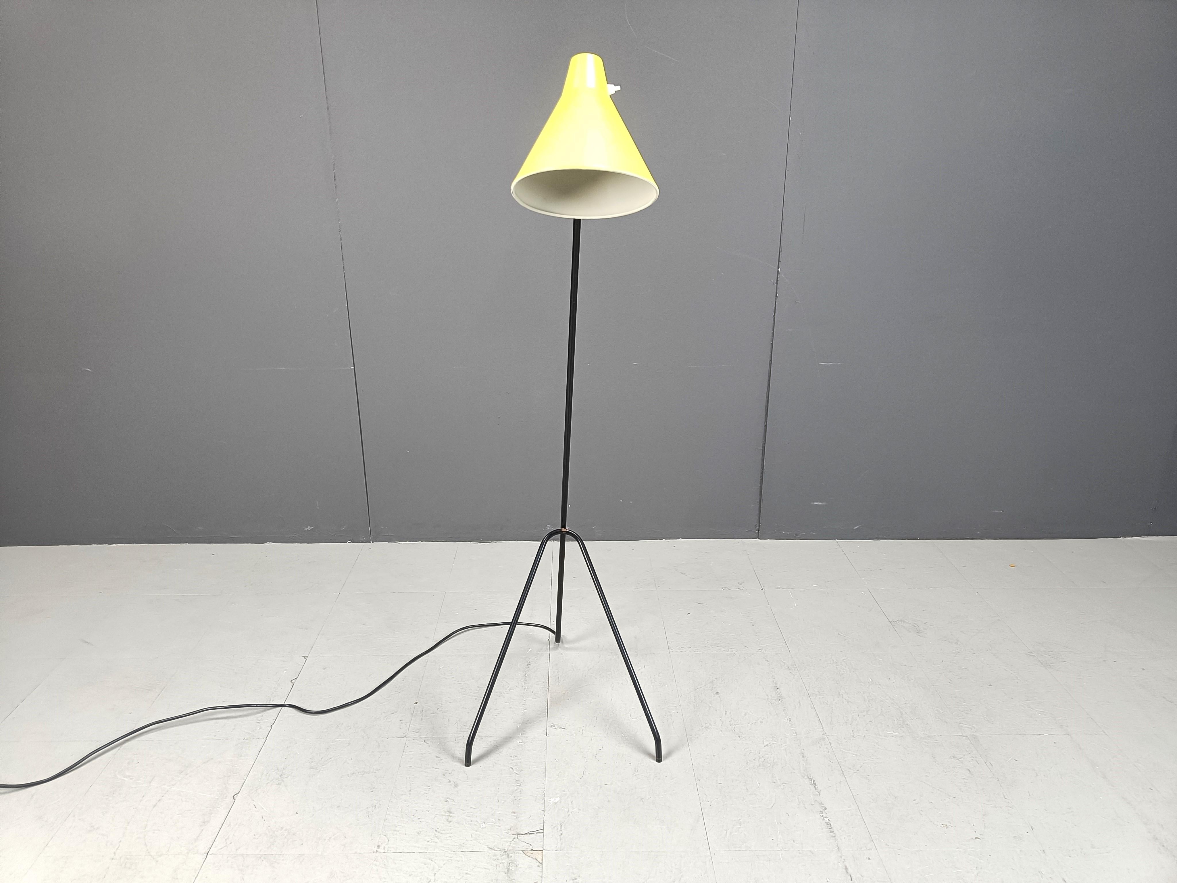 Mid-Century Modern Grasshopper Floor Lamp by Willem Van Doorn, 1960s