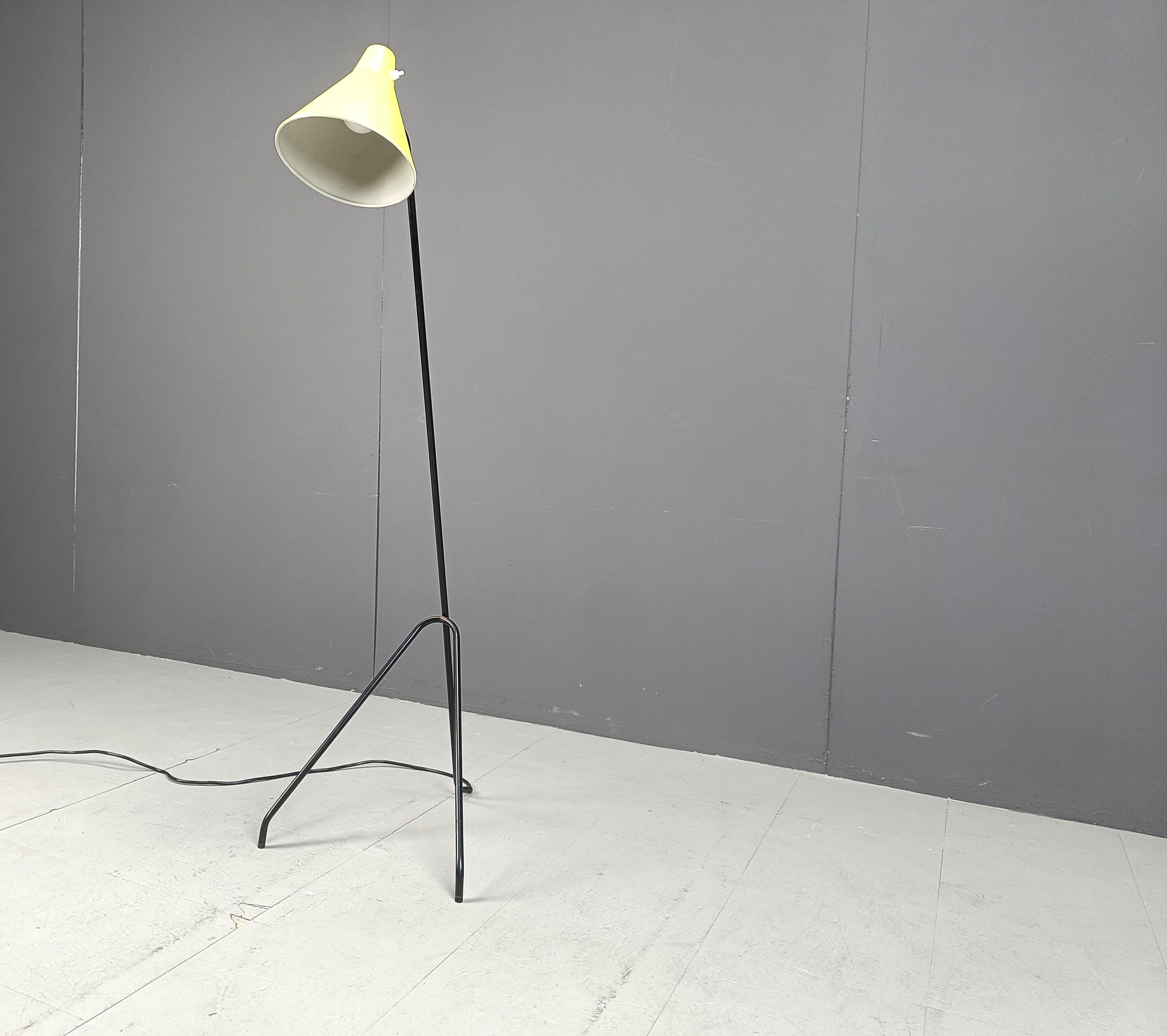 Dutch Grasshopper Floor Lamp by Willem Van Doorn, 1960s