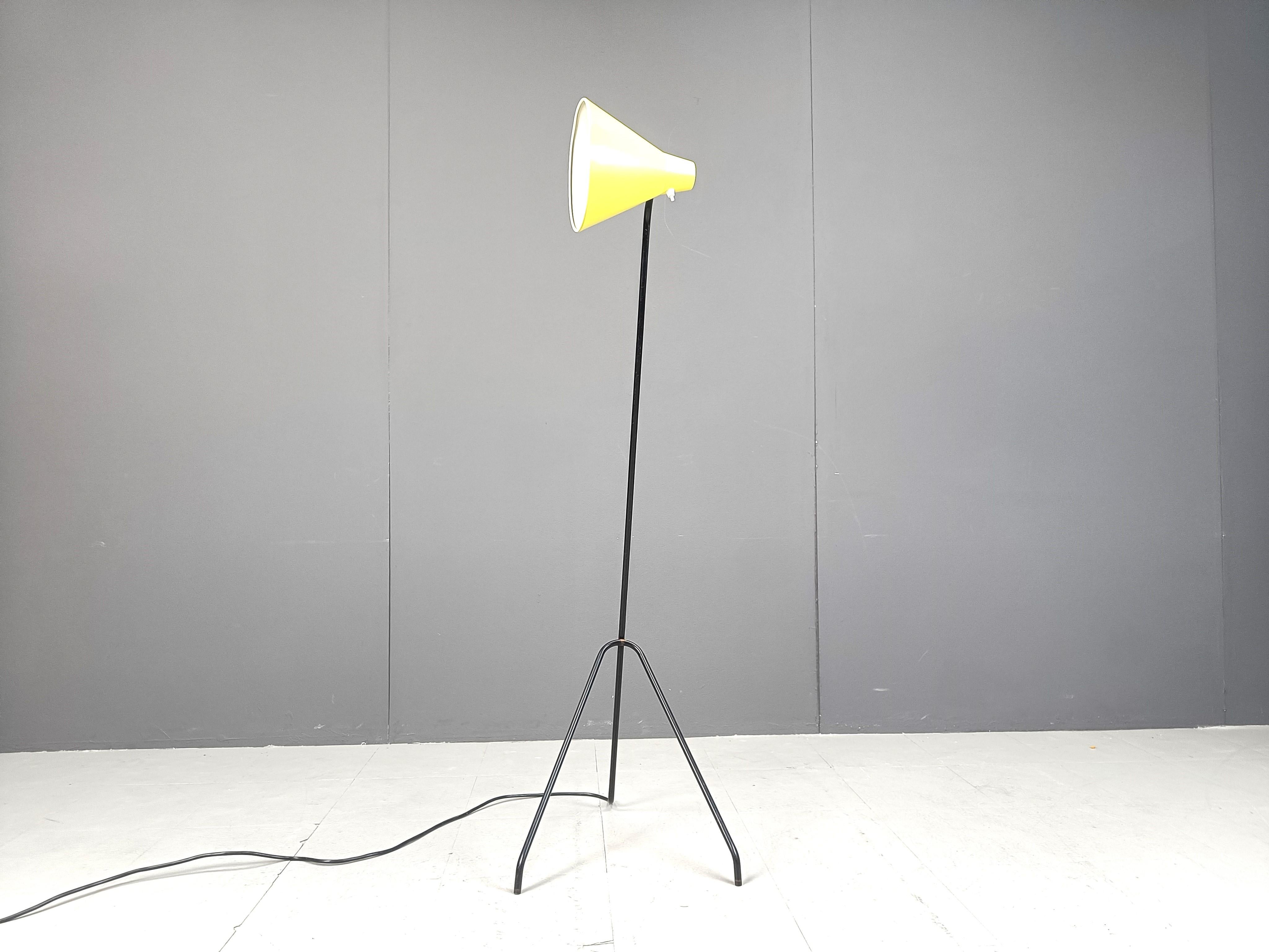 Mid-20th Century Grasshopper Floor Lamp by Willem Van Doorn, 1960s